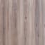 Ural Elm