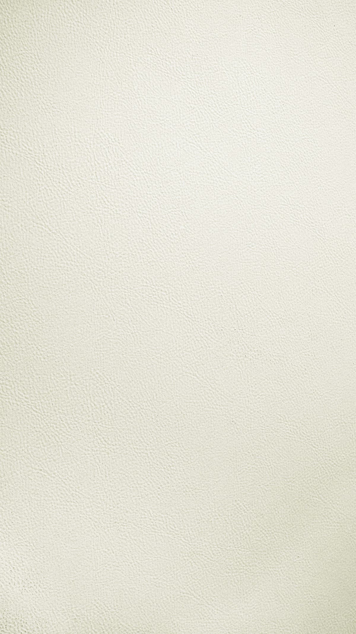 Dove White