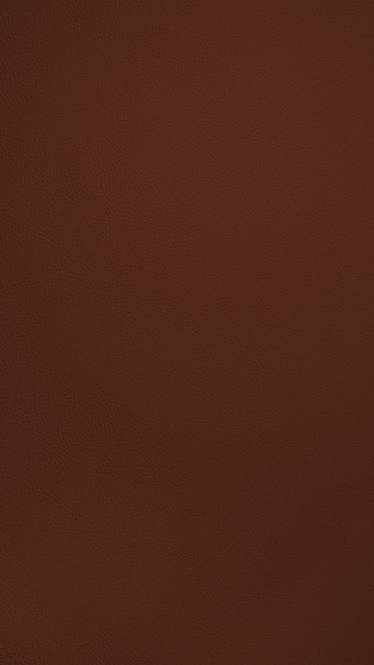 Charming Orange