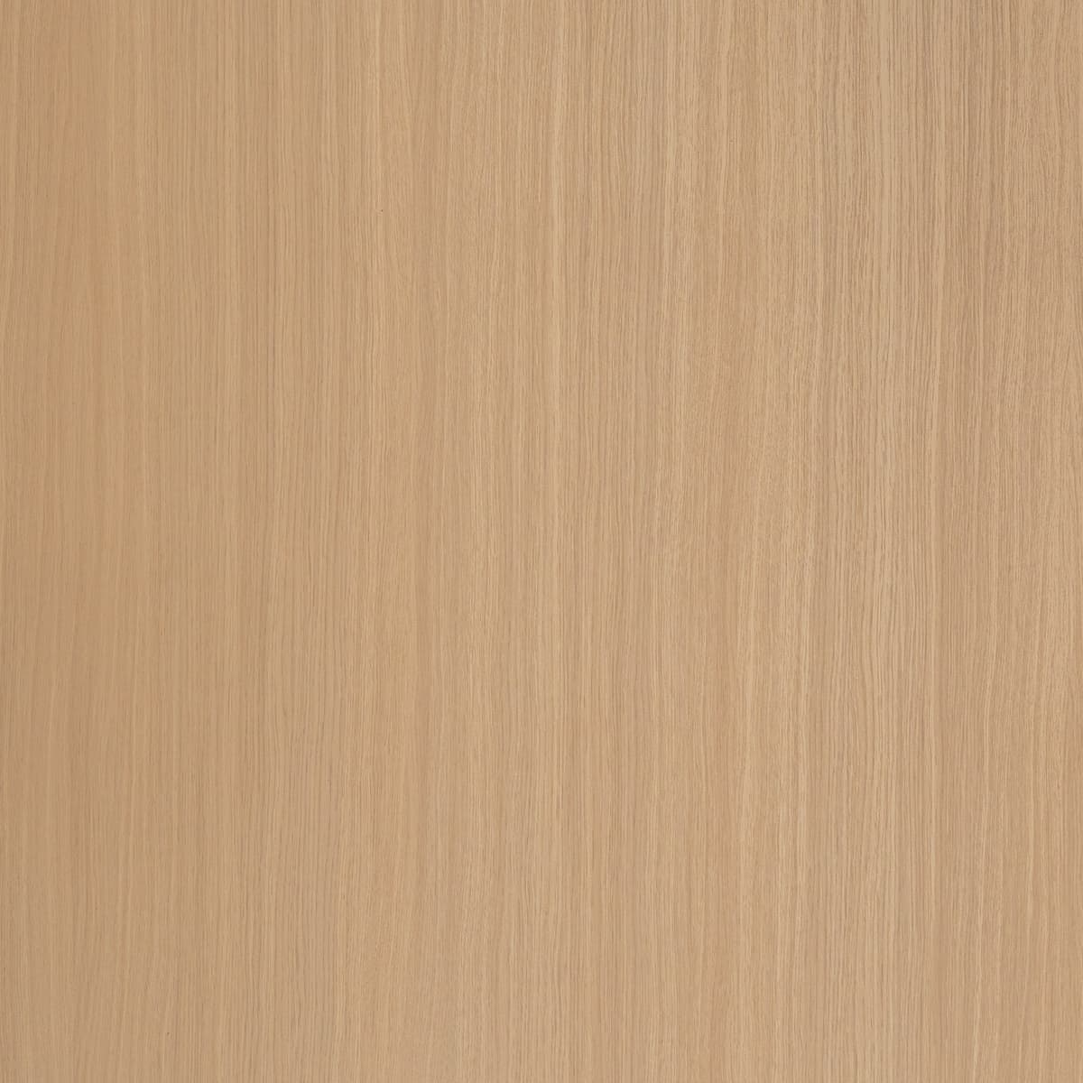Forest Maple