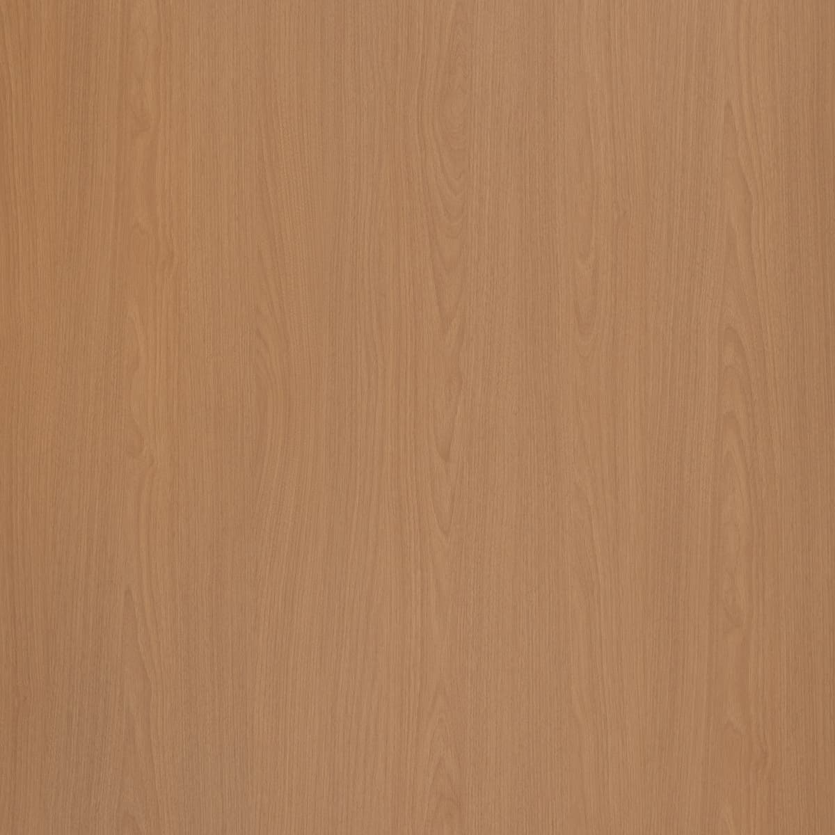 Tawny Oak