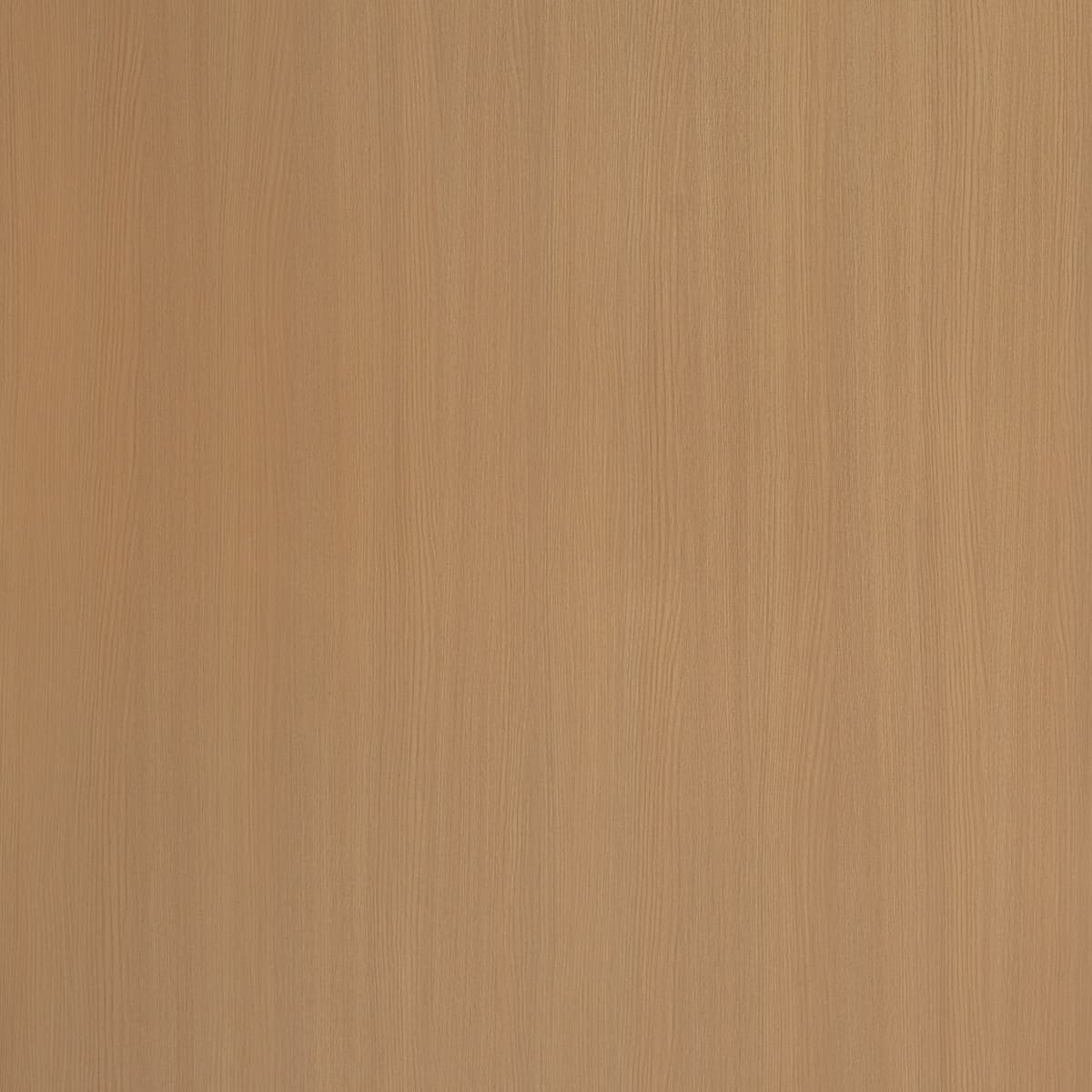 Beaver Teak
