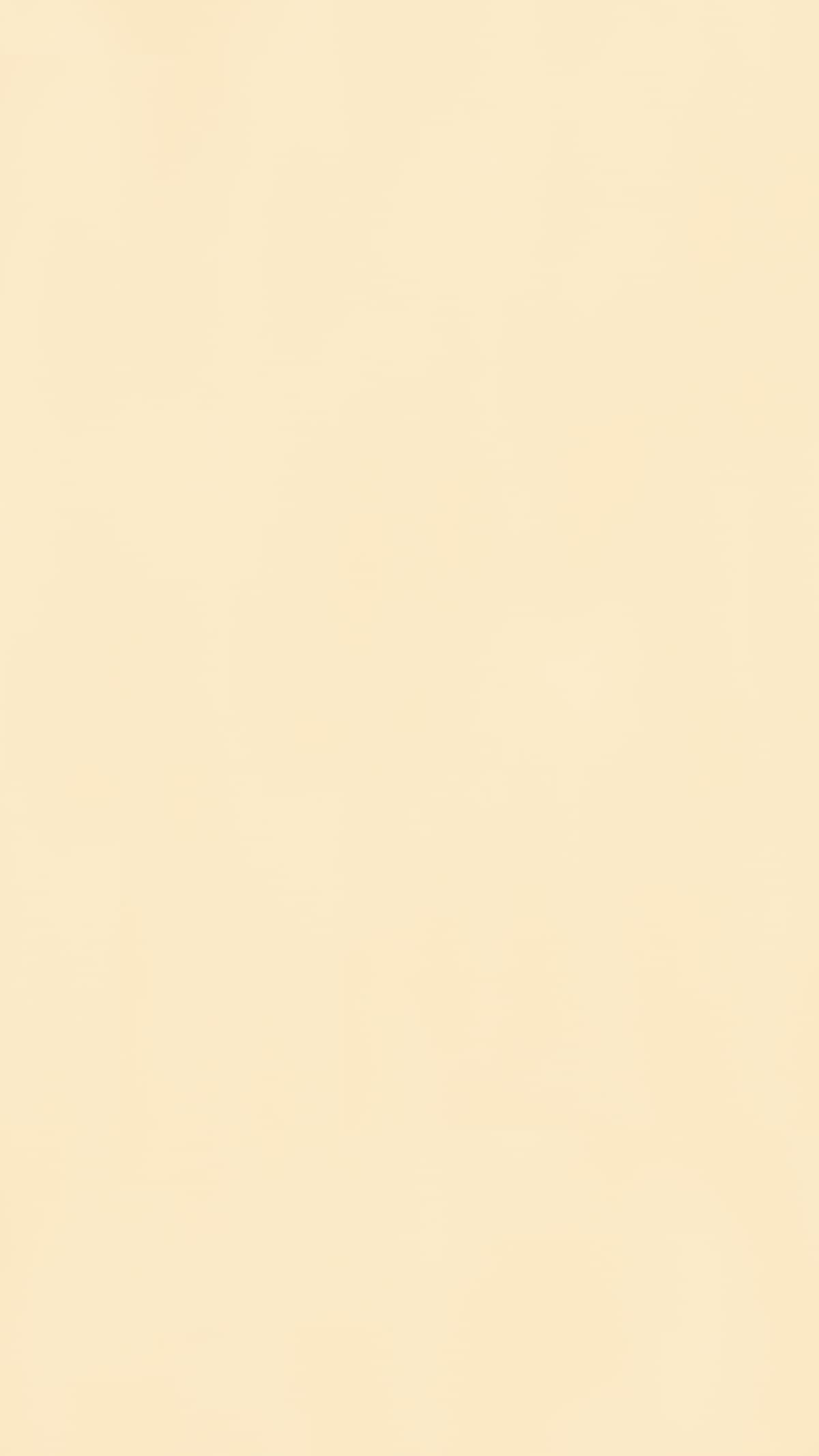 Cheese White