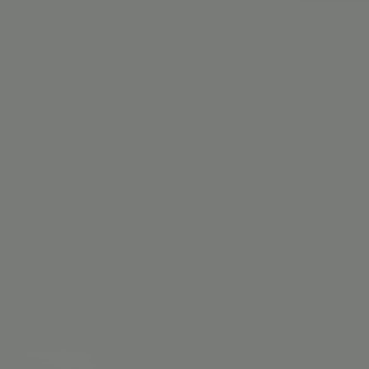 Iceland Grey