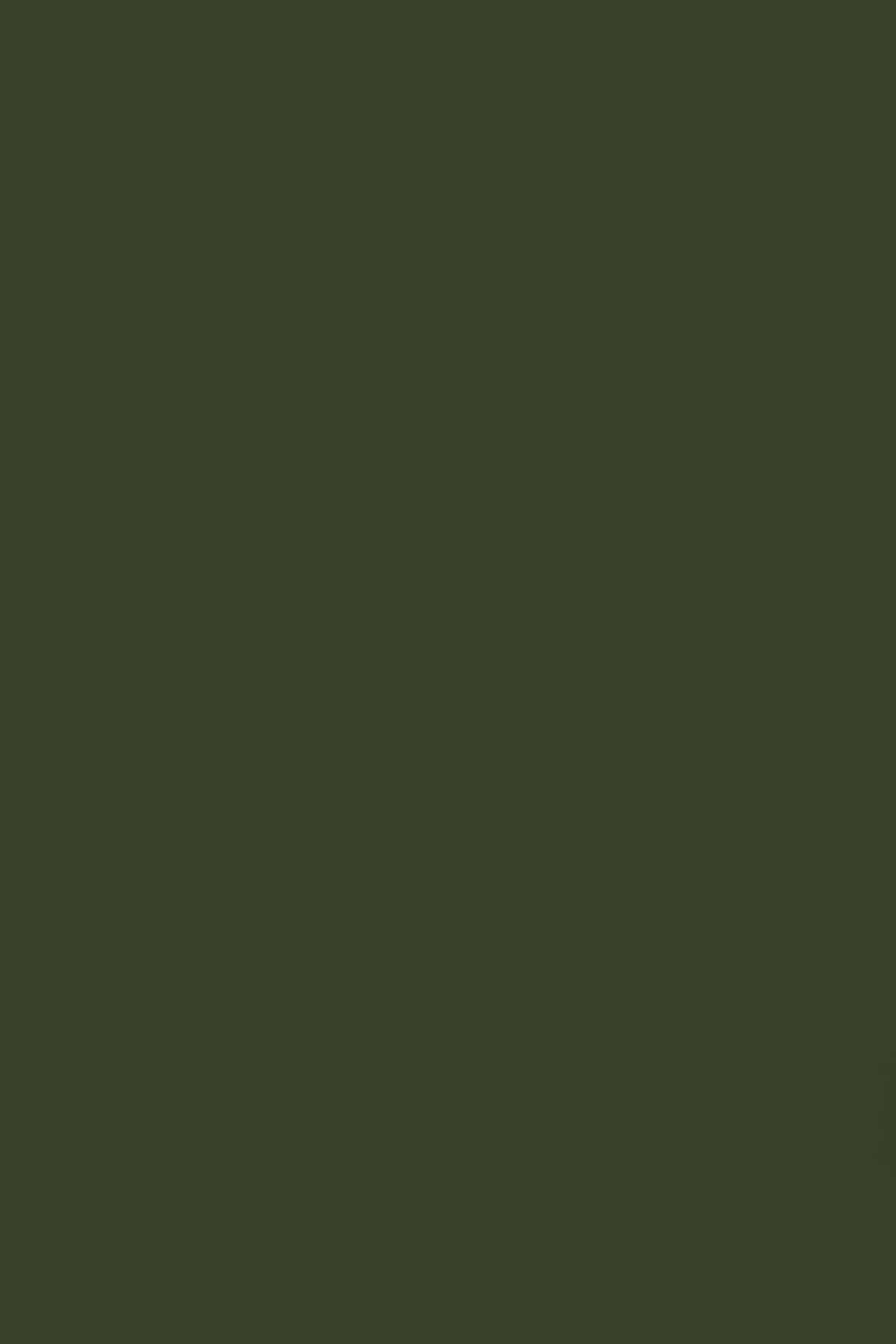 Celadon Cloak
