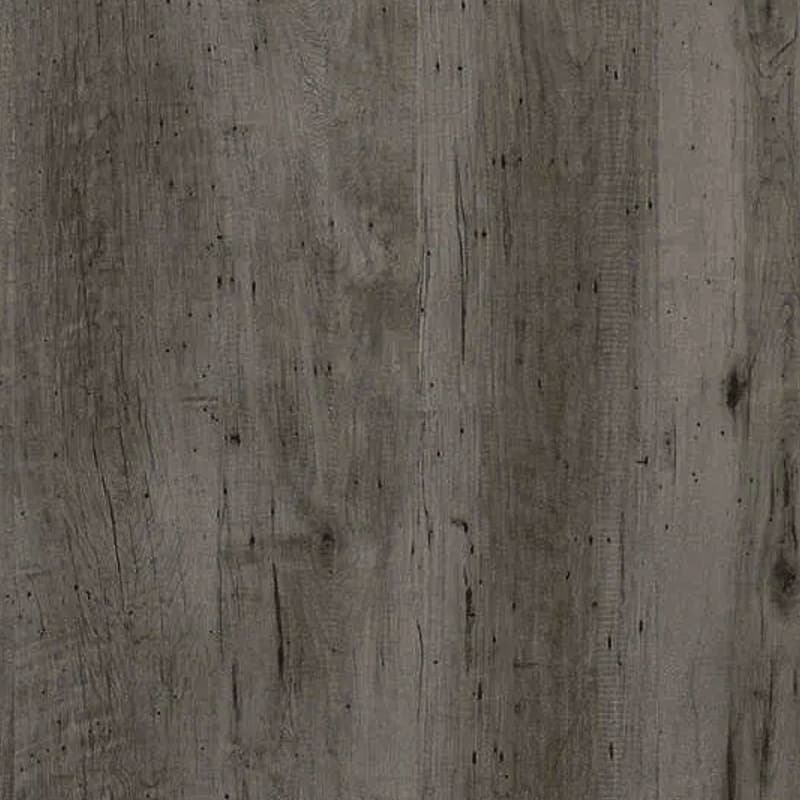 Serant Maple
