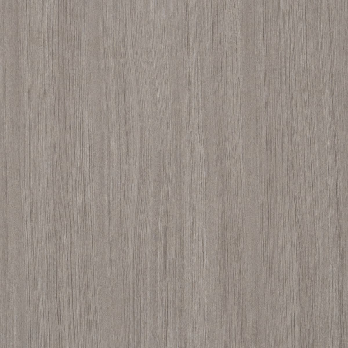 Primeval Teak