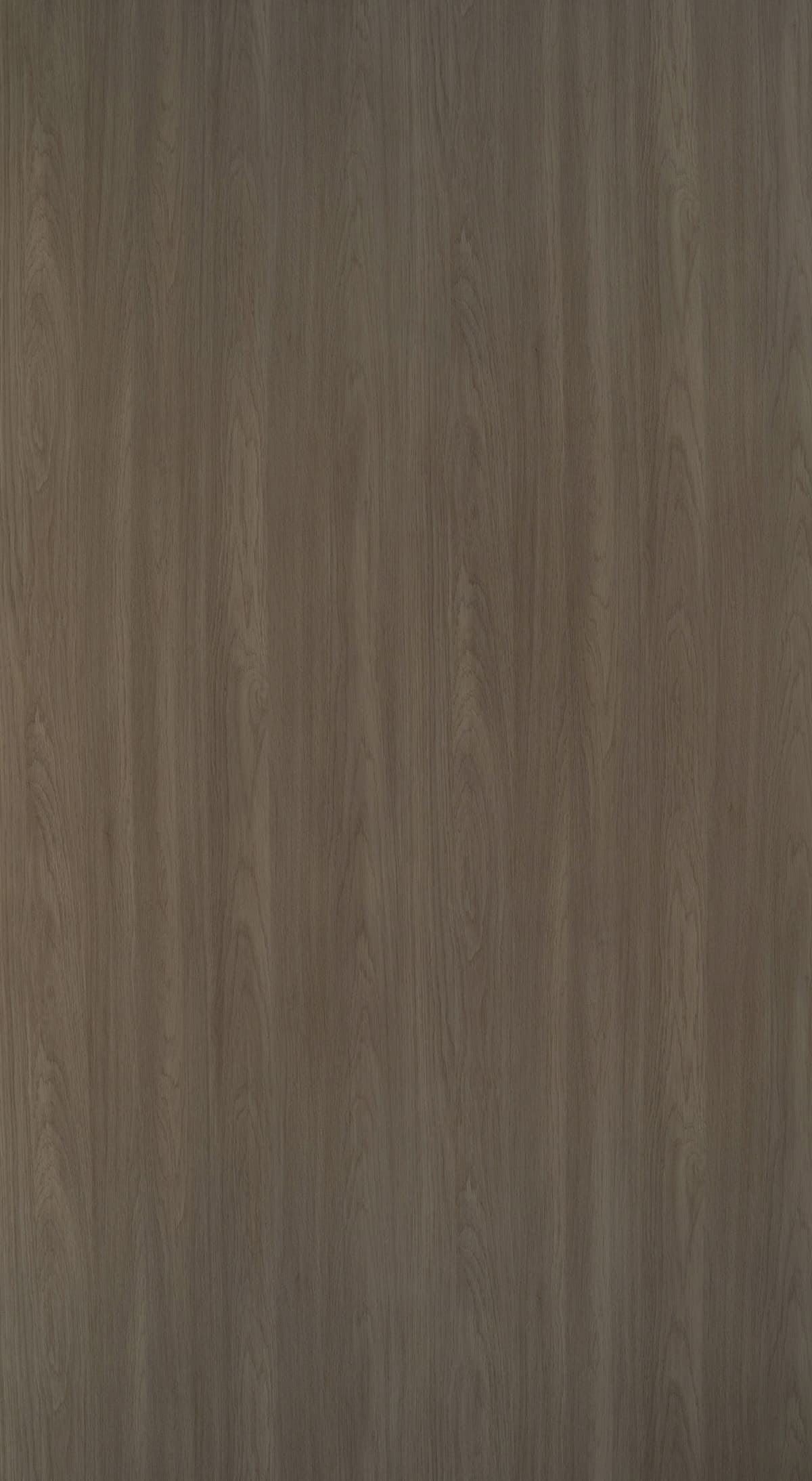 Sherwood Oak
