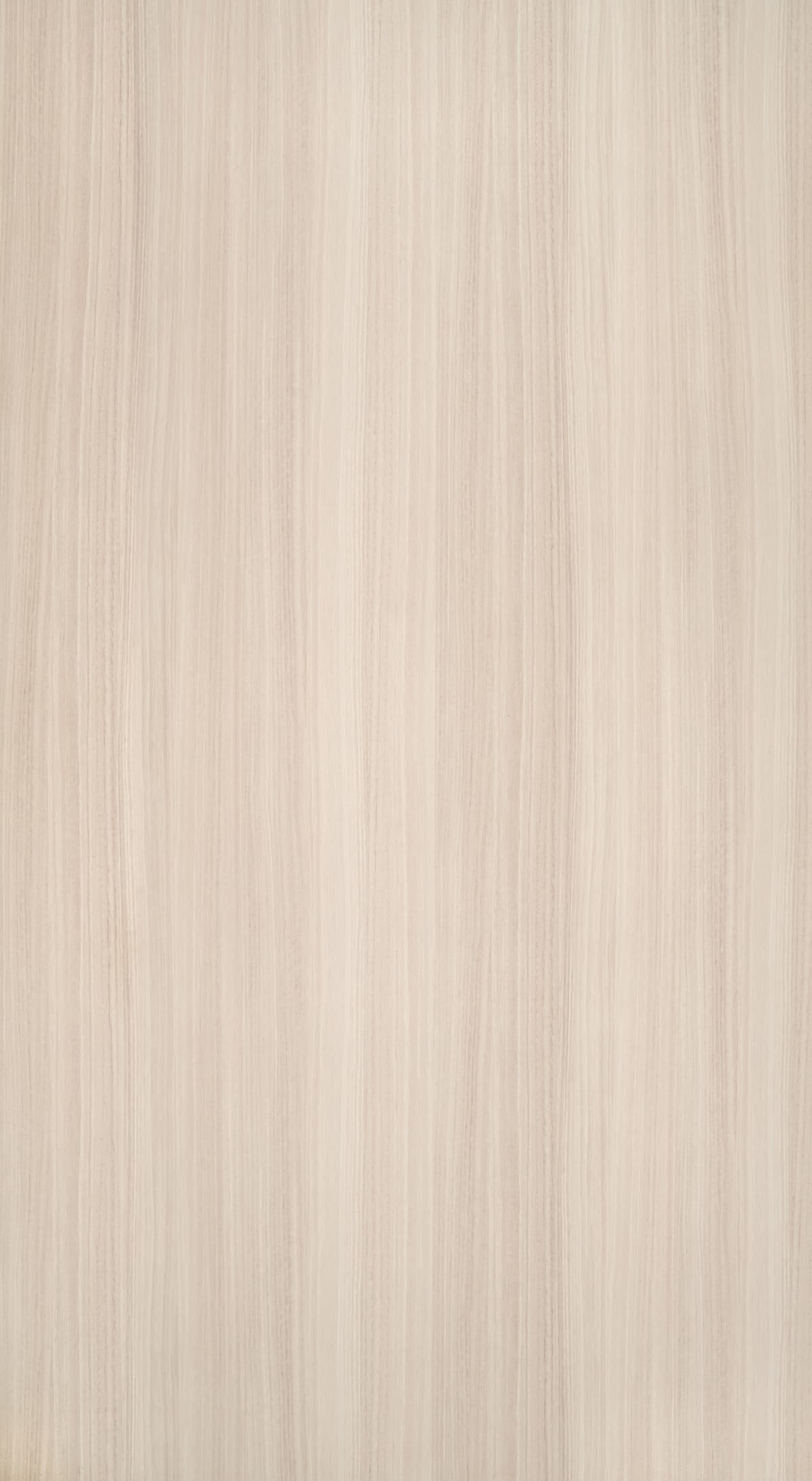 Enamel Eucalyptus