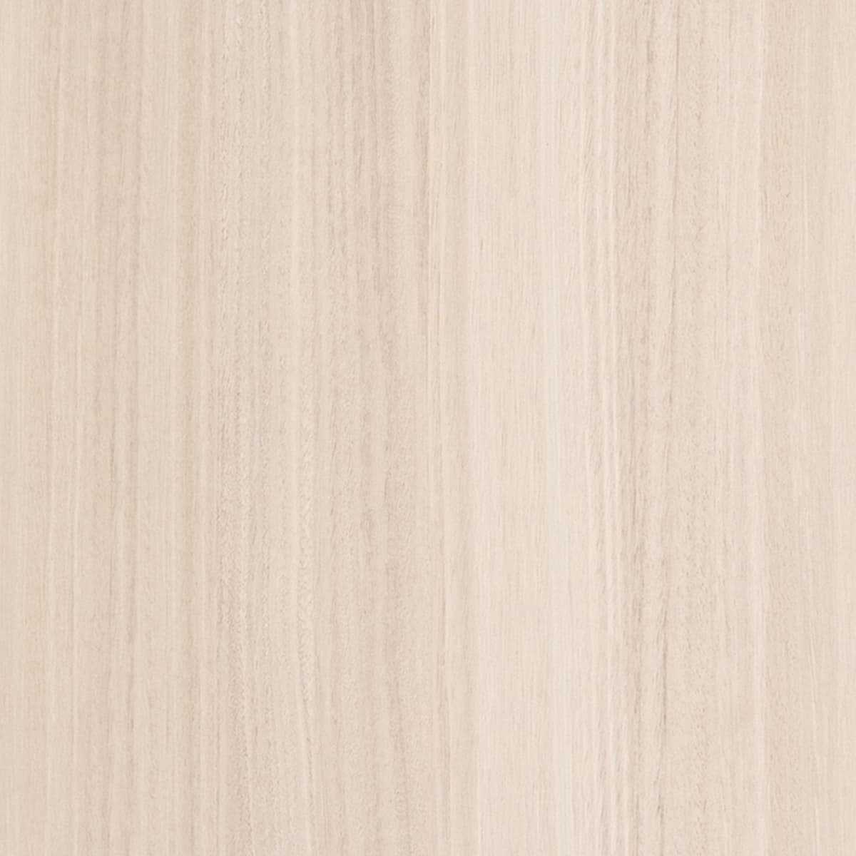 Enamel Eucalyptus