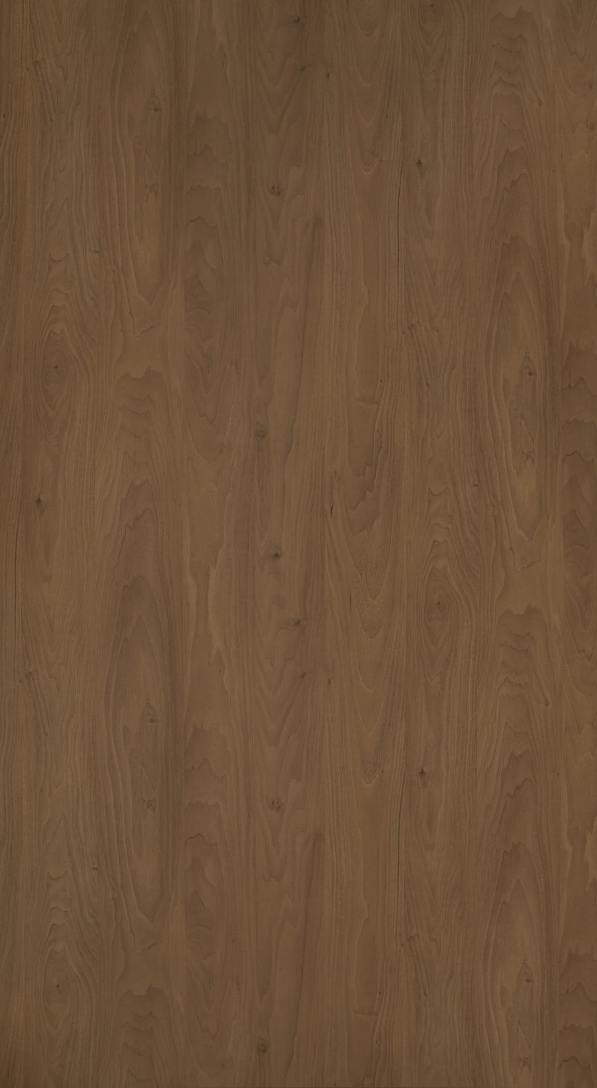 Gerrard Walnut