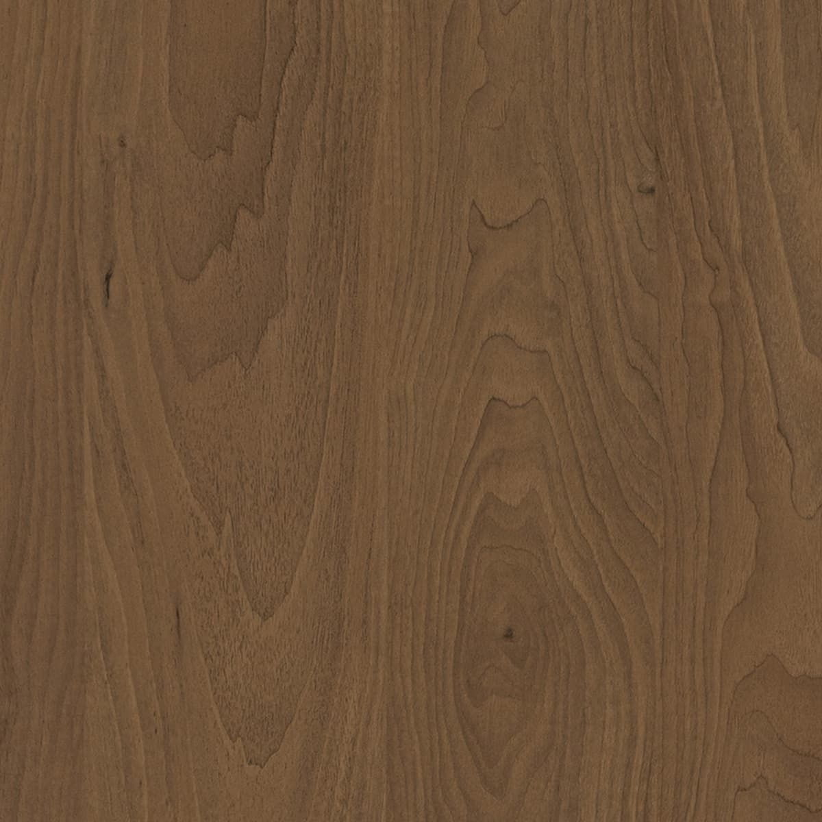 Gerrard Walnut