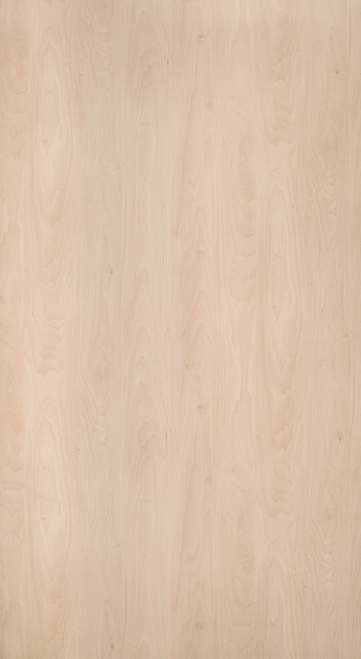 Gerrard Walnut