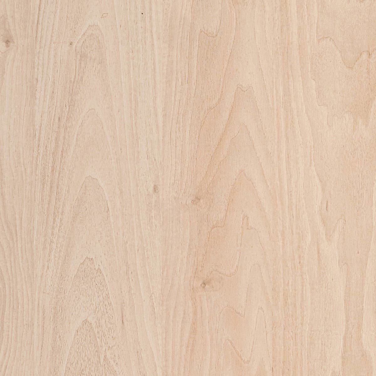 Gerrard Walnut