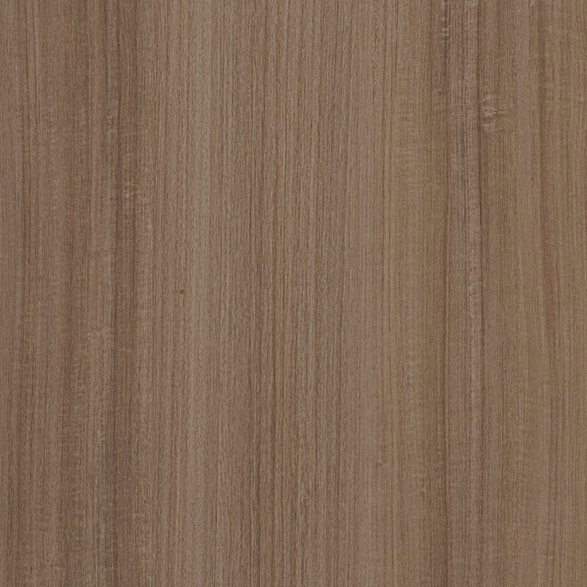 Malang Eucalyptus