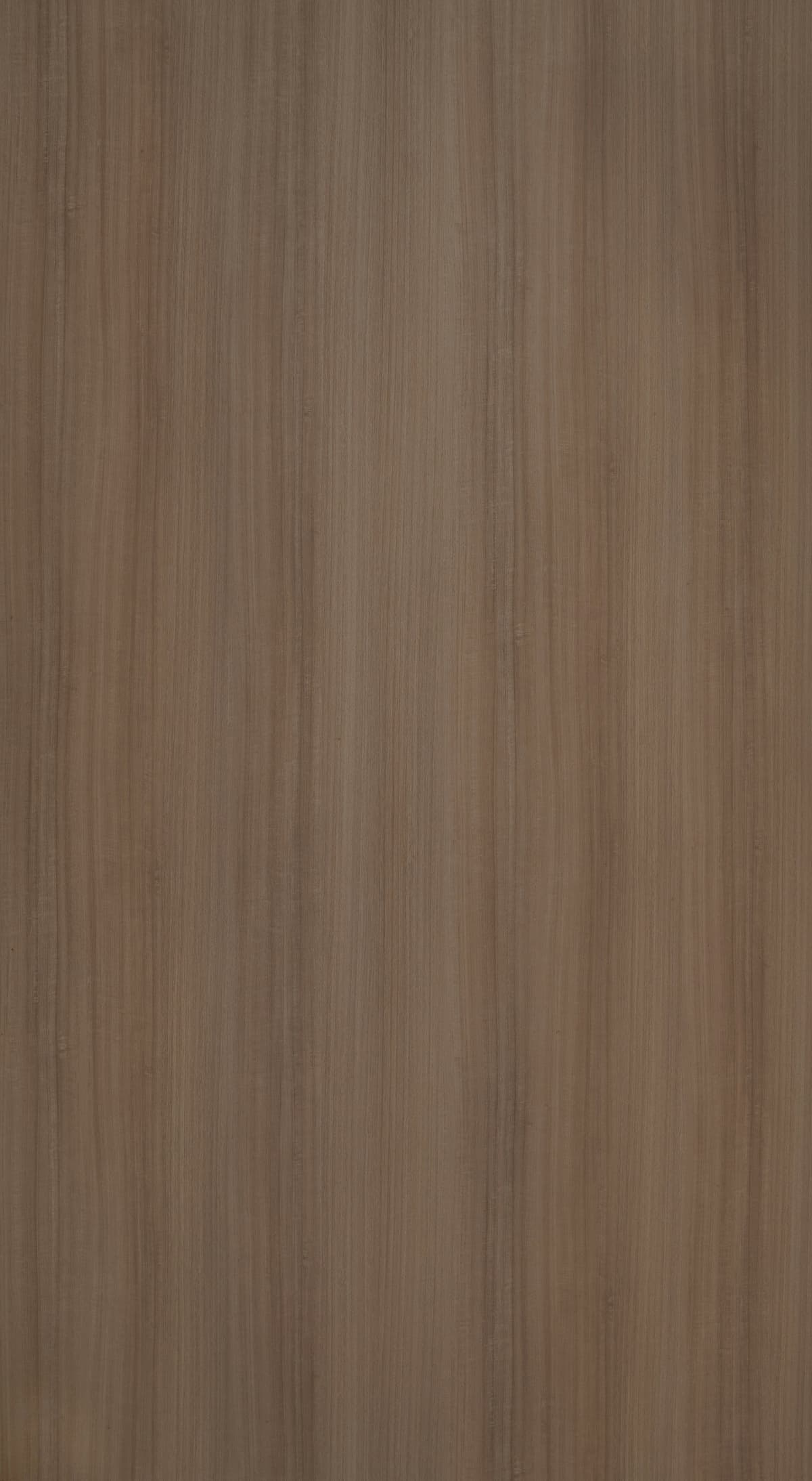 Malang Eucalyptus