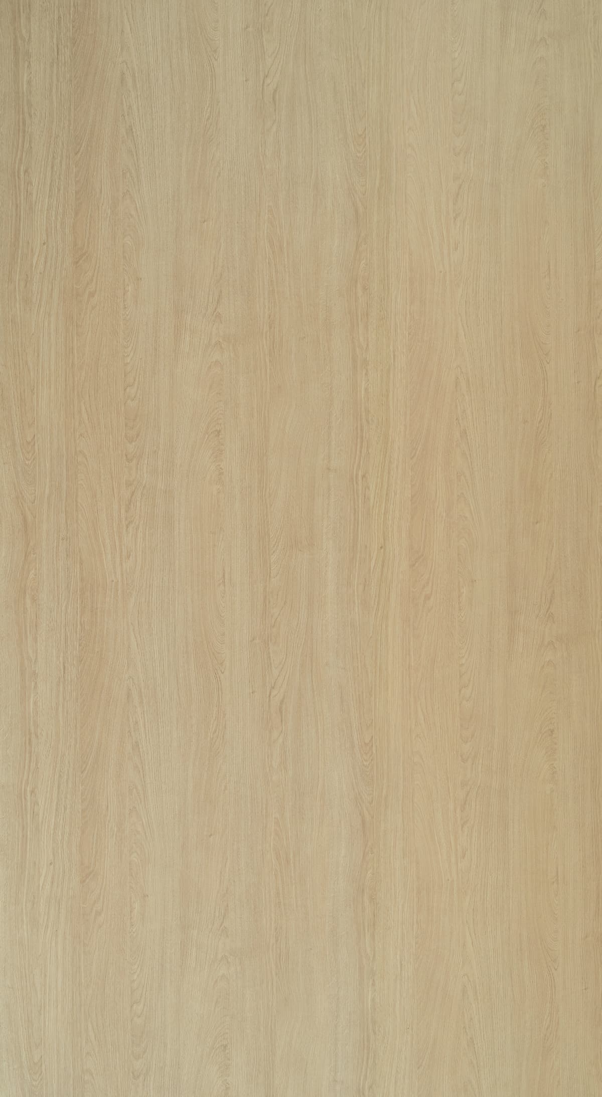 Gaddis Oak