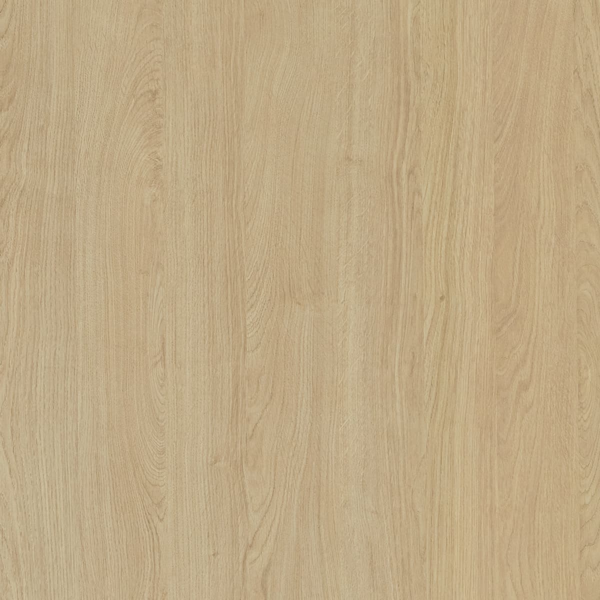Gaddis Oak