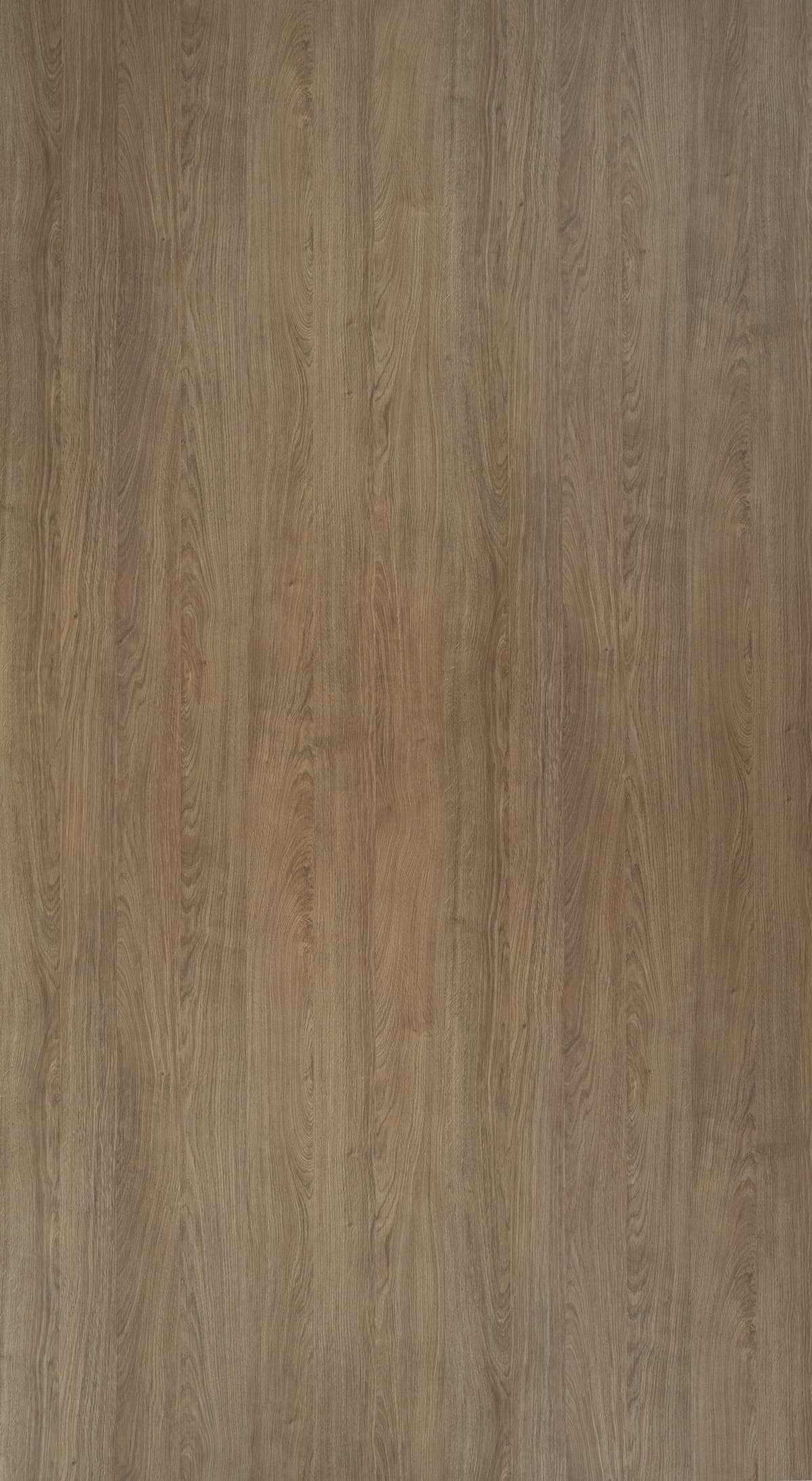 Gaddis Oak