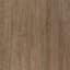 Gaddis Oak