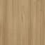 French Elm