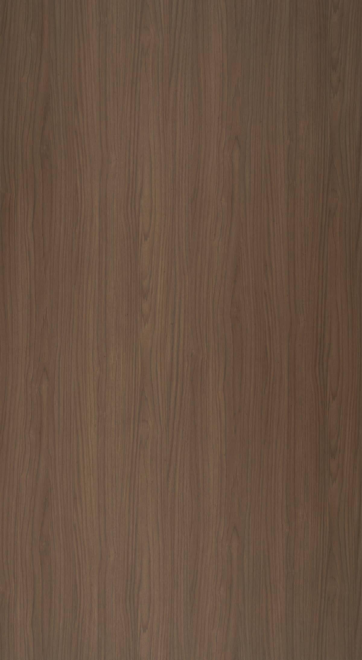Lena Walnut