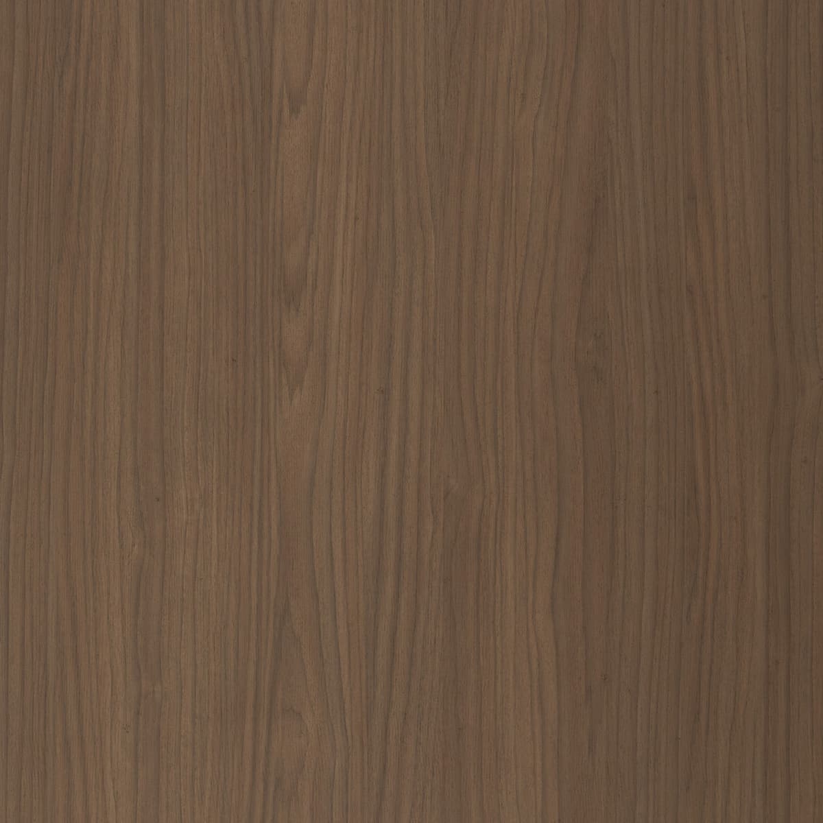 Lena Walnut