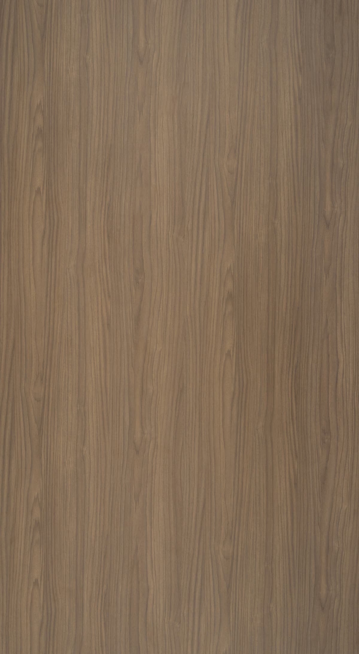 Lena Walnut