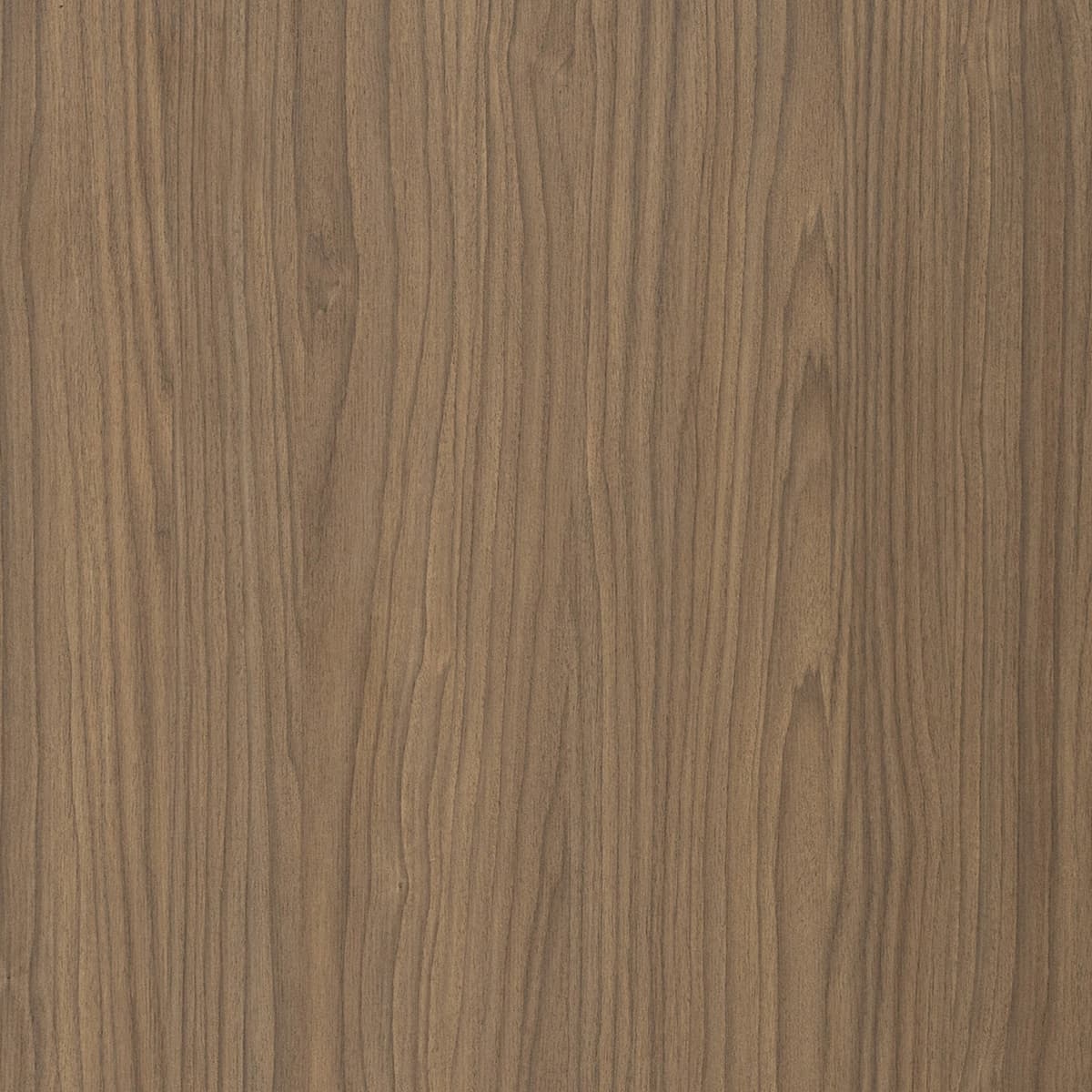 Lena Walnut
