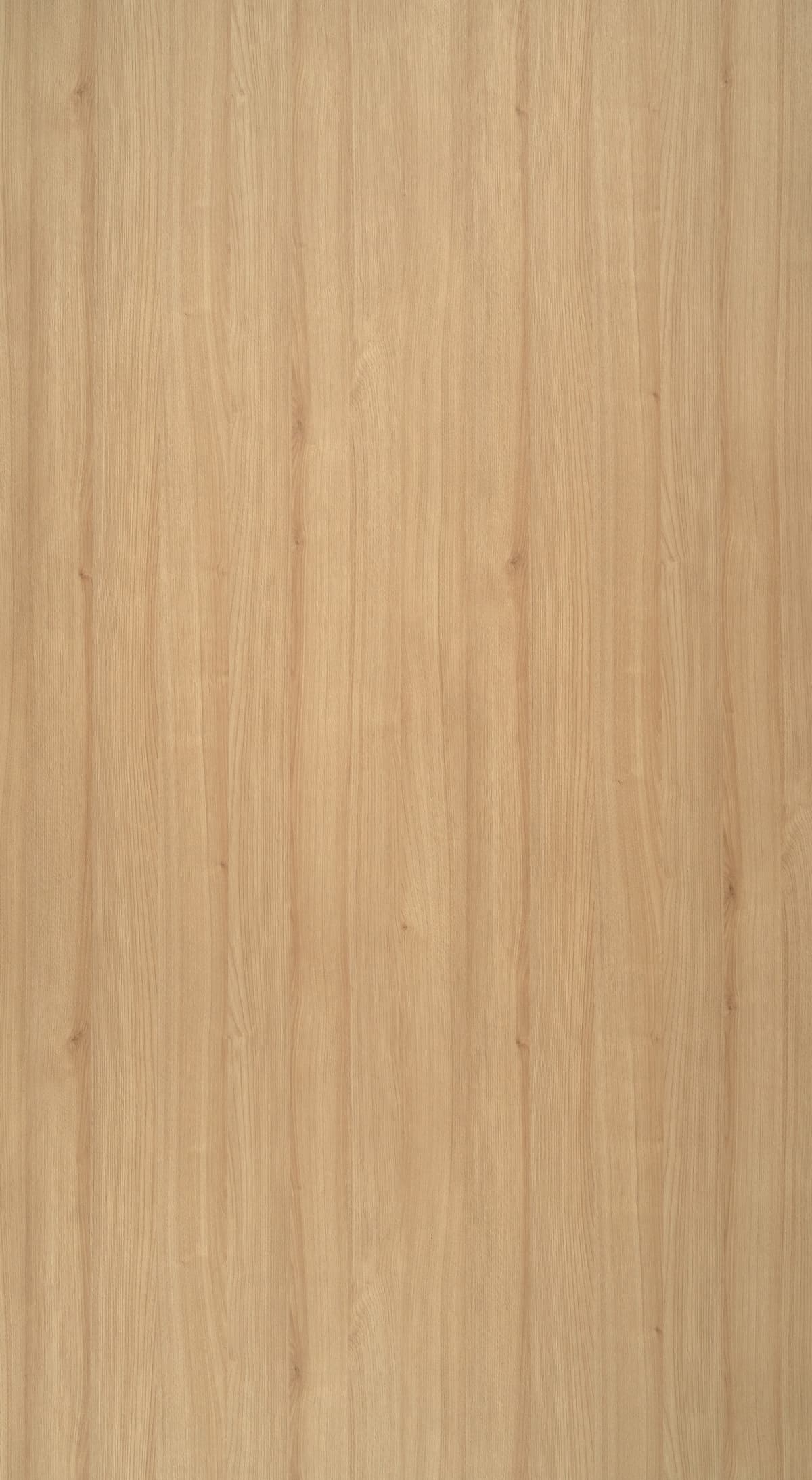 Mazy Oak