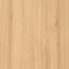 Mazy Oak