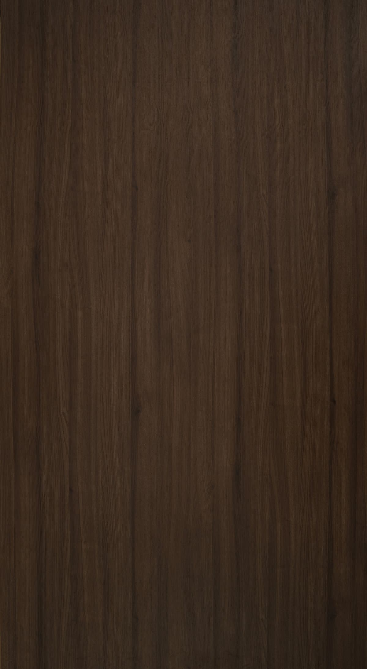 Mazy Oak