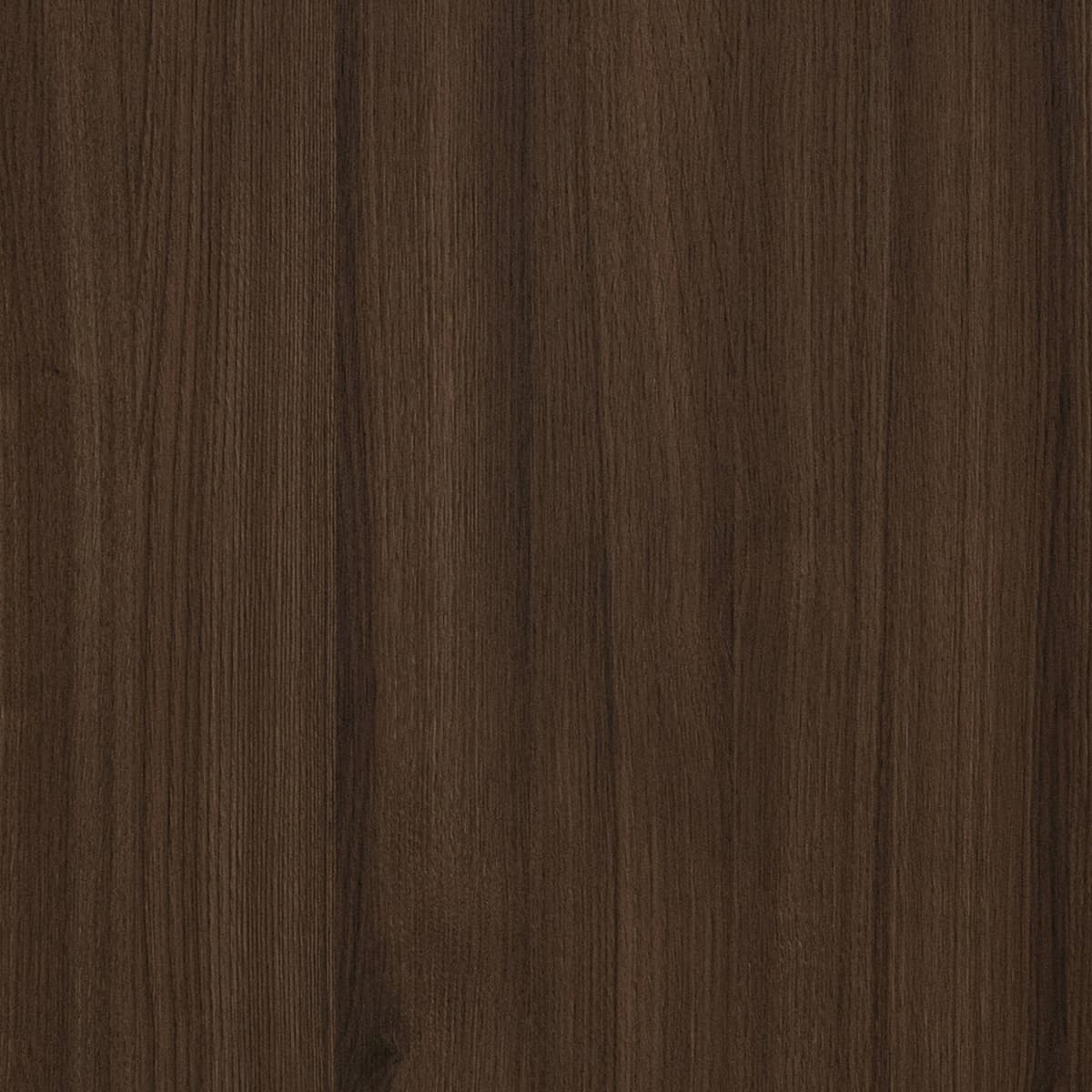Mazy Oak