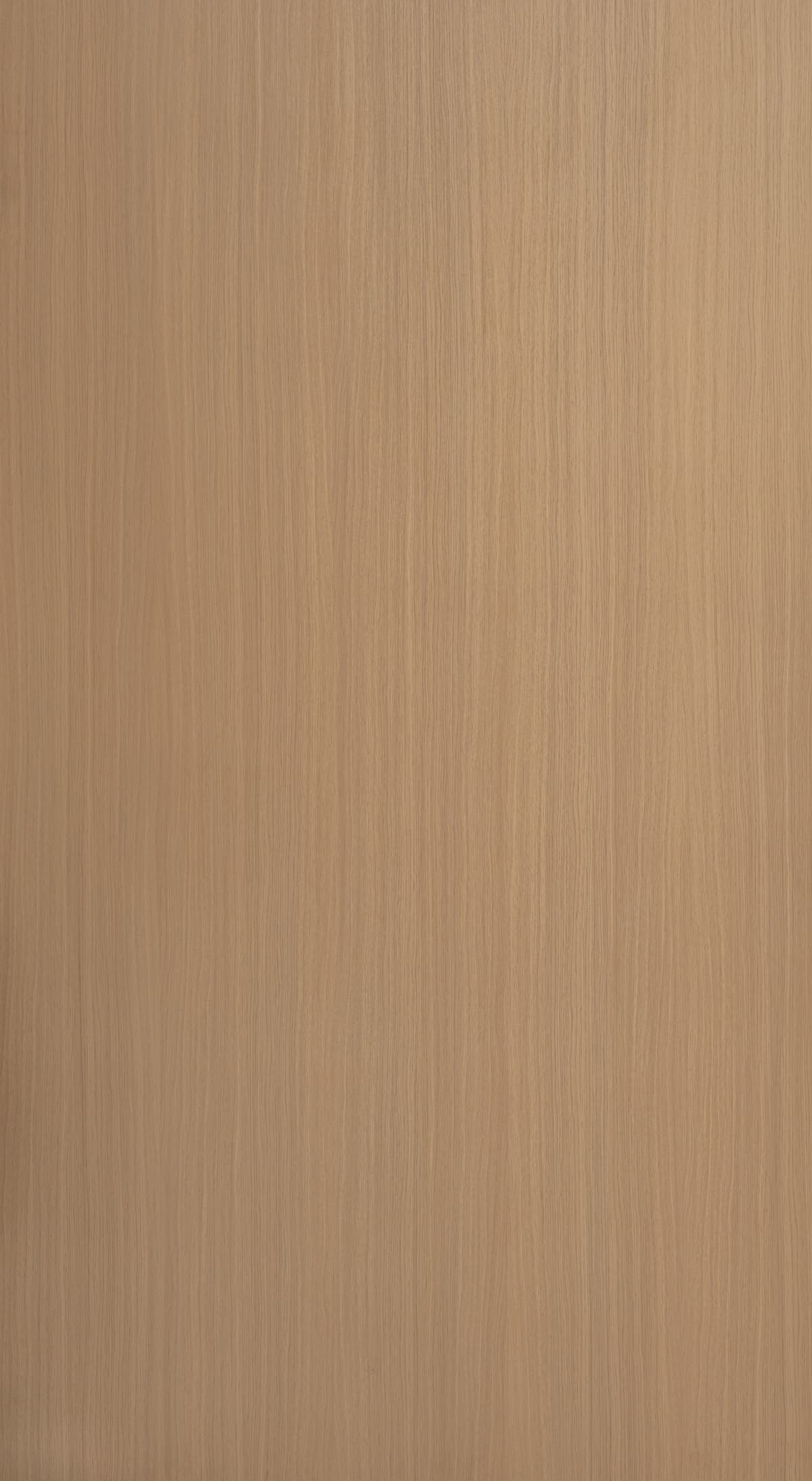 Forest Maple