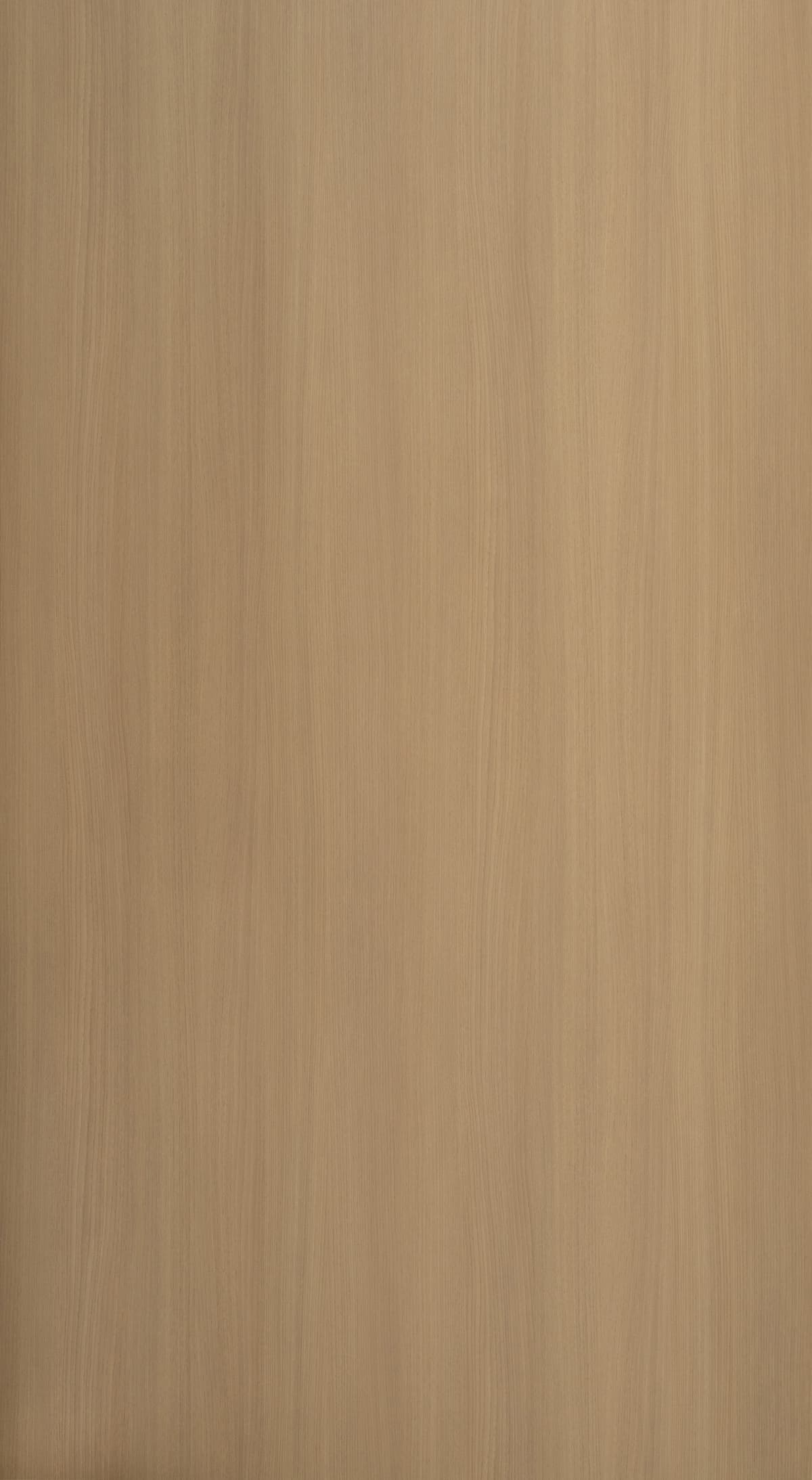 Camel Birch