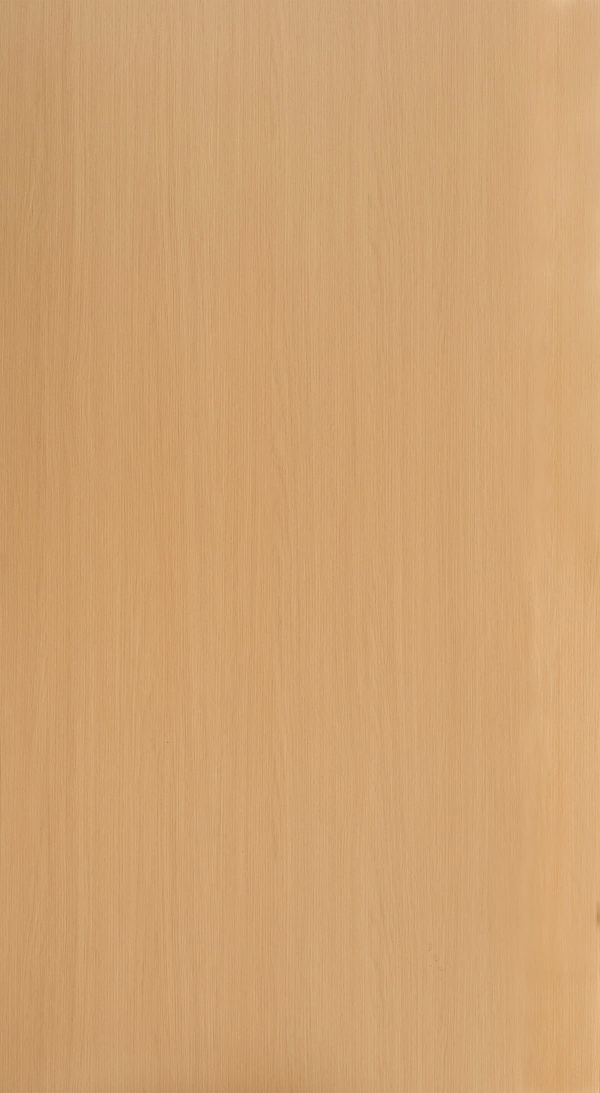 Nordic Birch