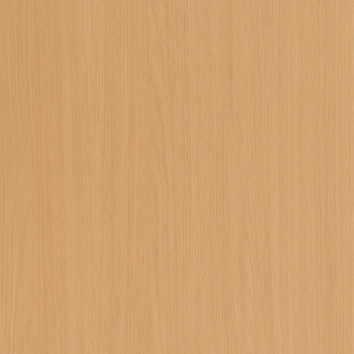 Nordic Birch
