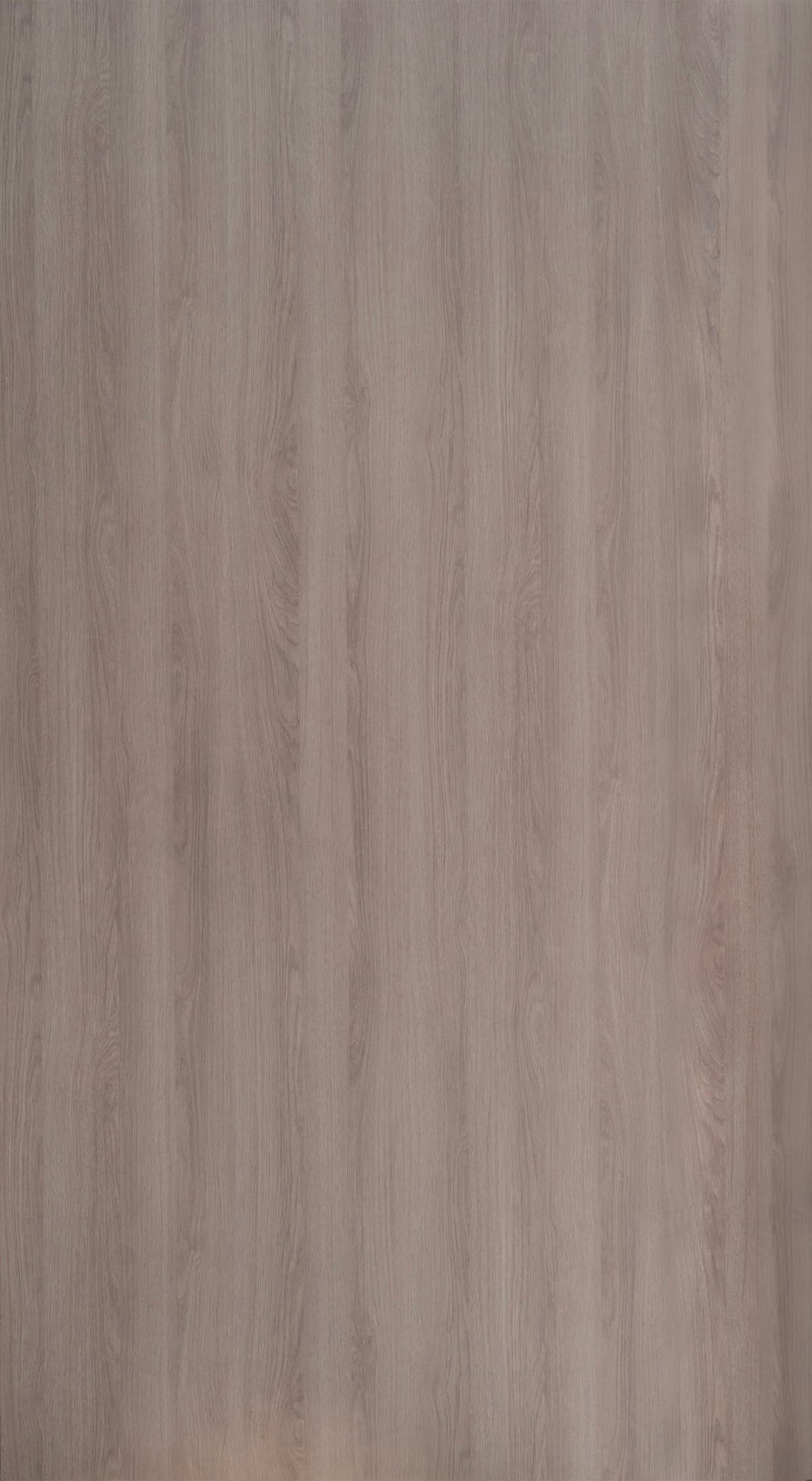 Toasted Birch