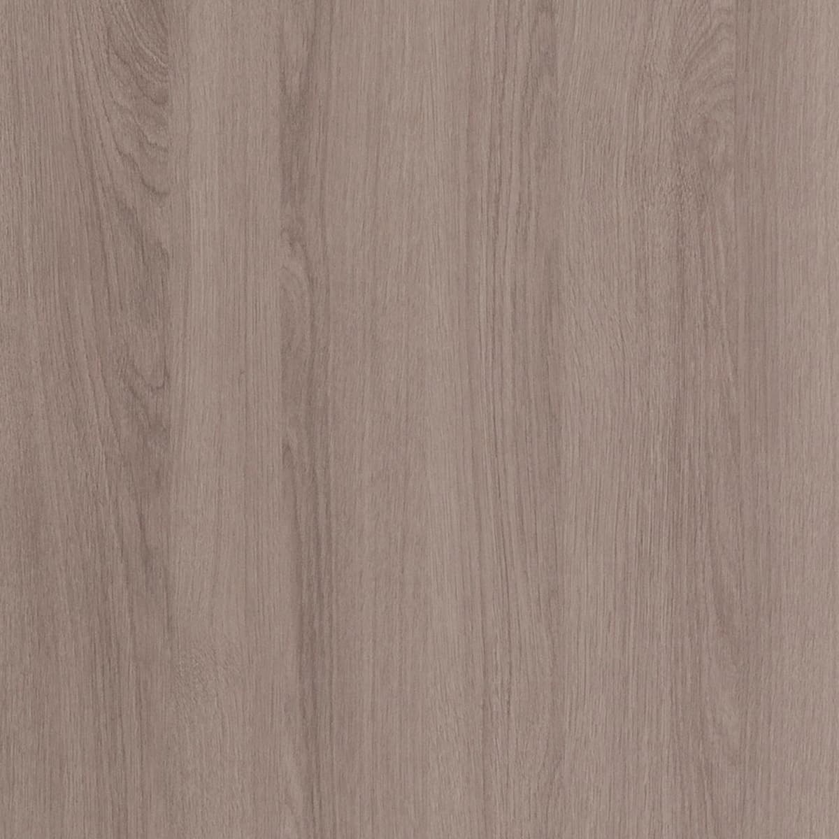 Toasted Birch