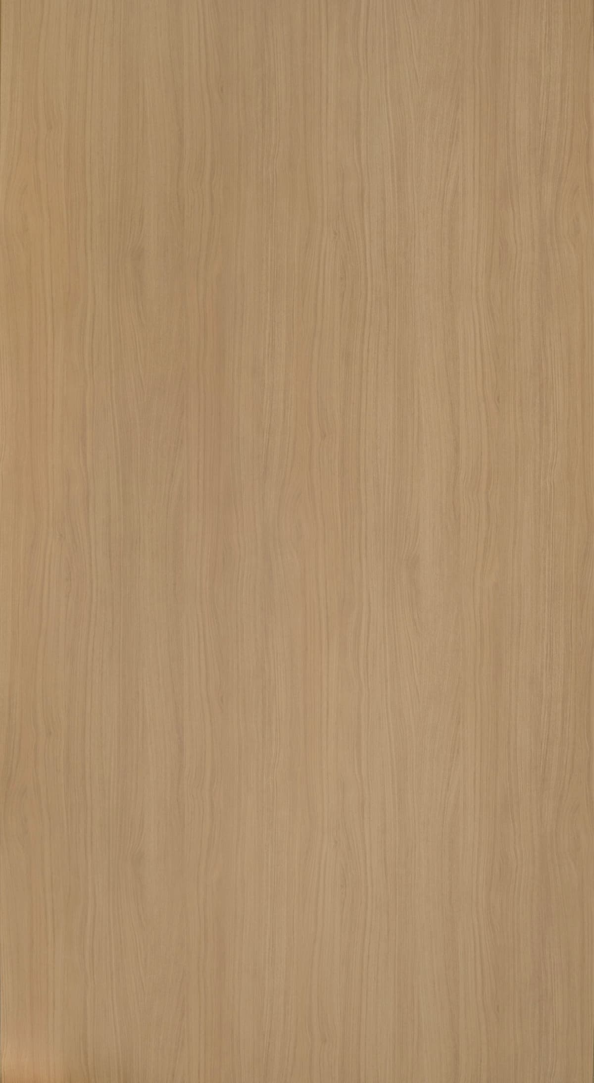 Velesia Wood
