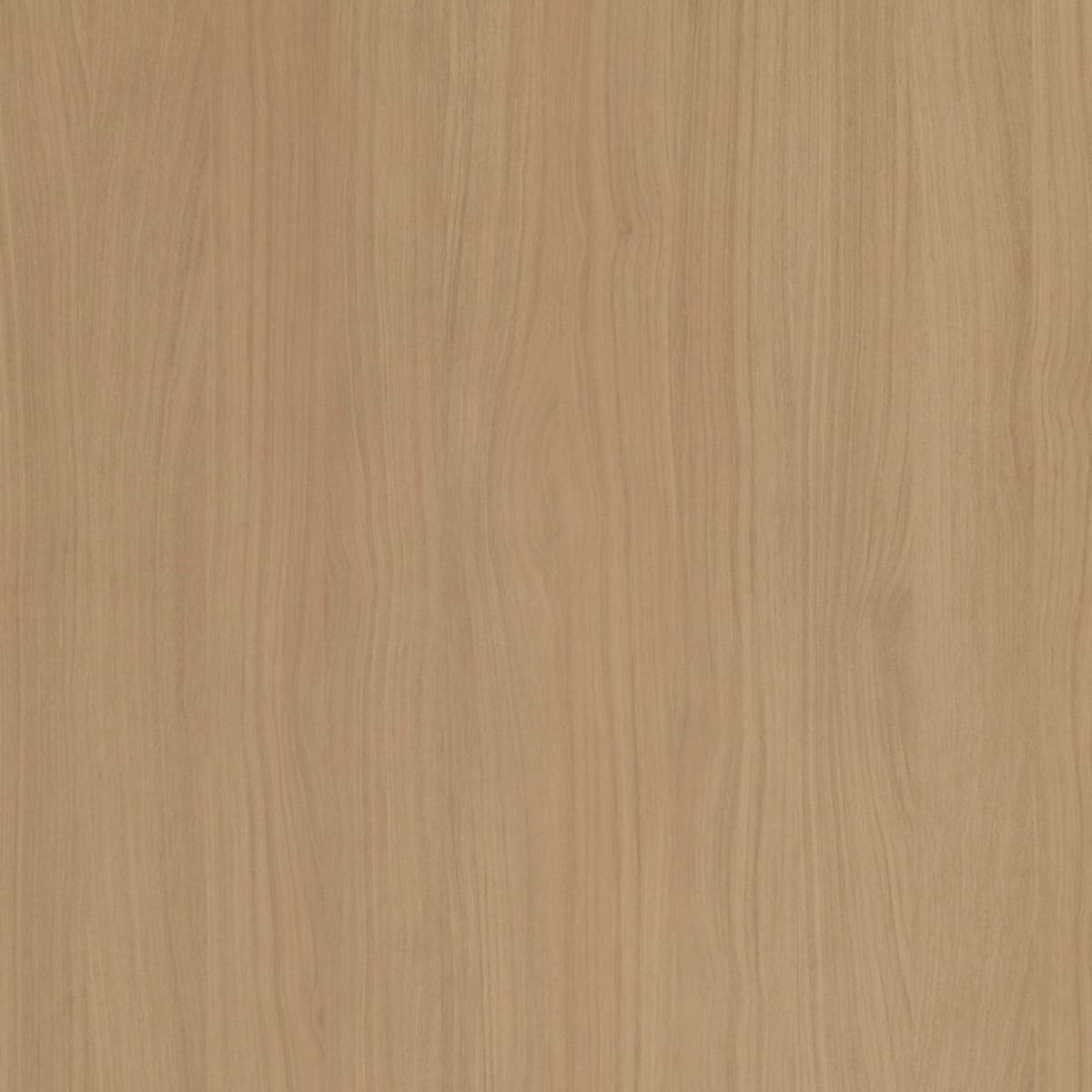 Velesia Wood