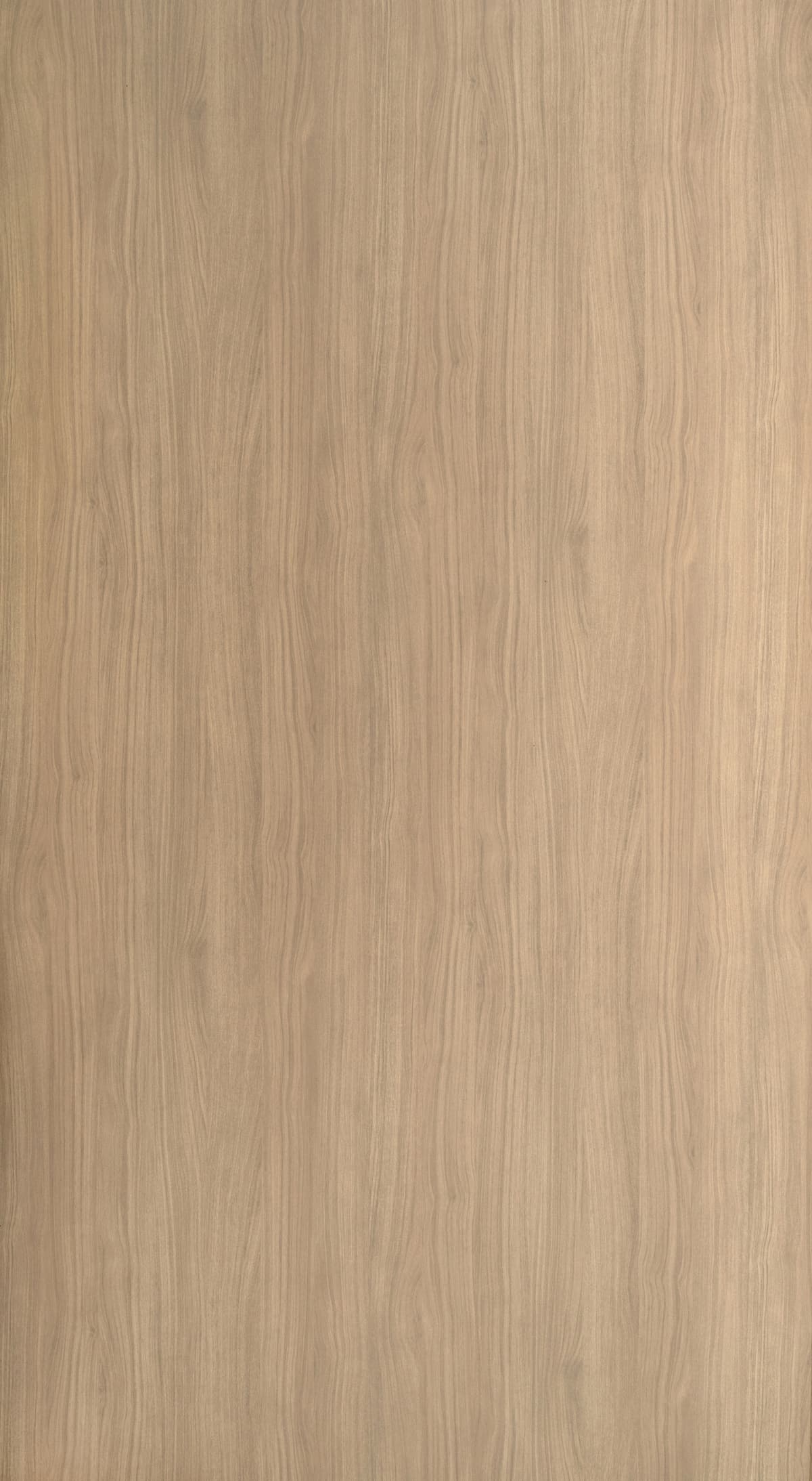 Ember Wood