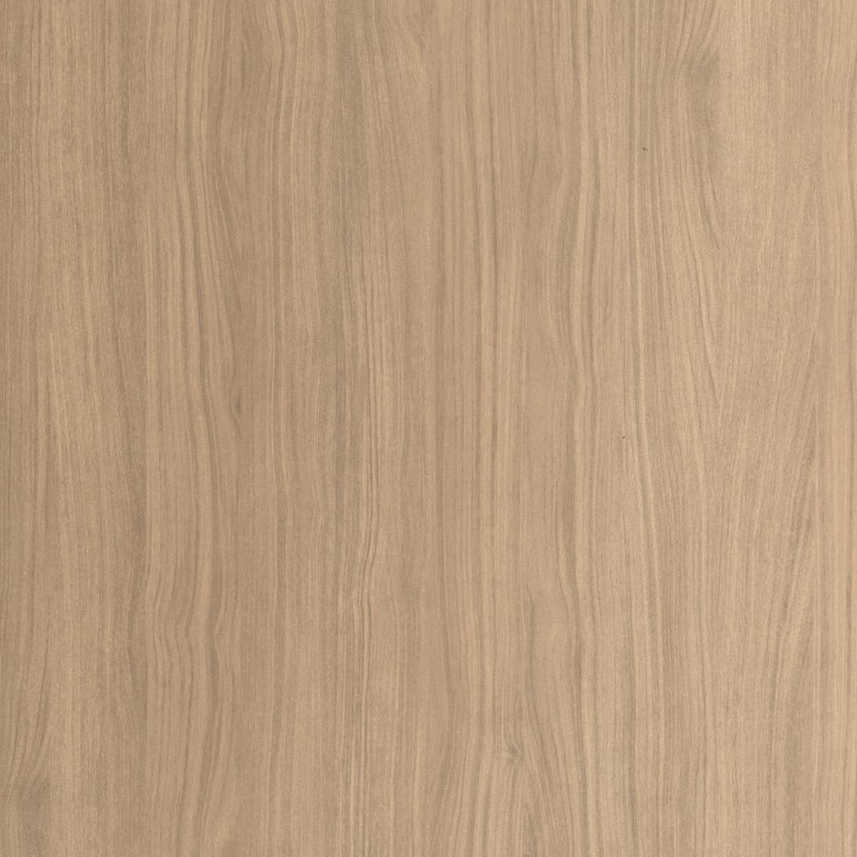 Ember Wood