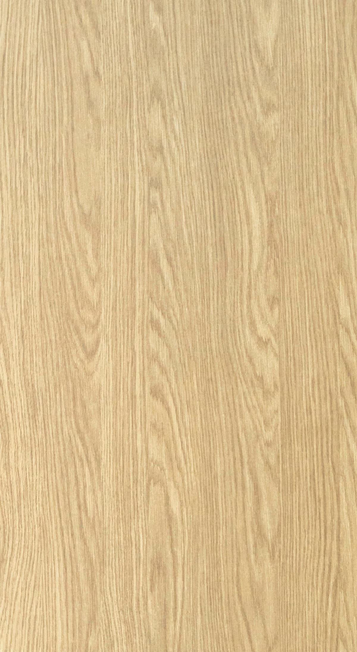 Worcher Oak