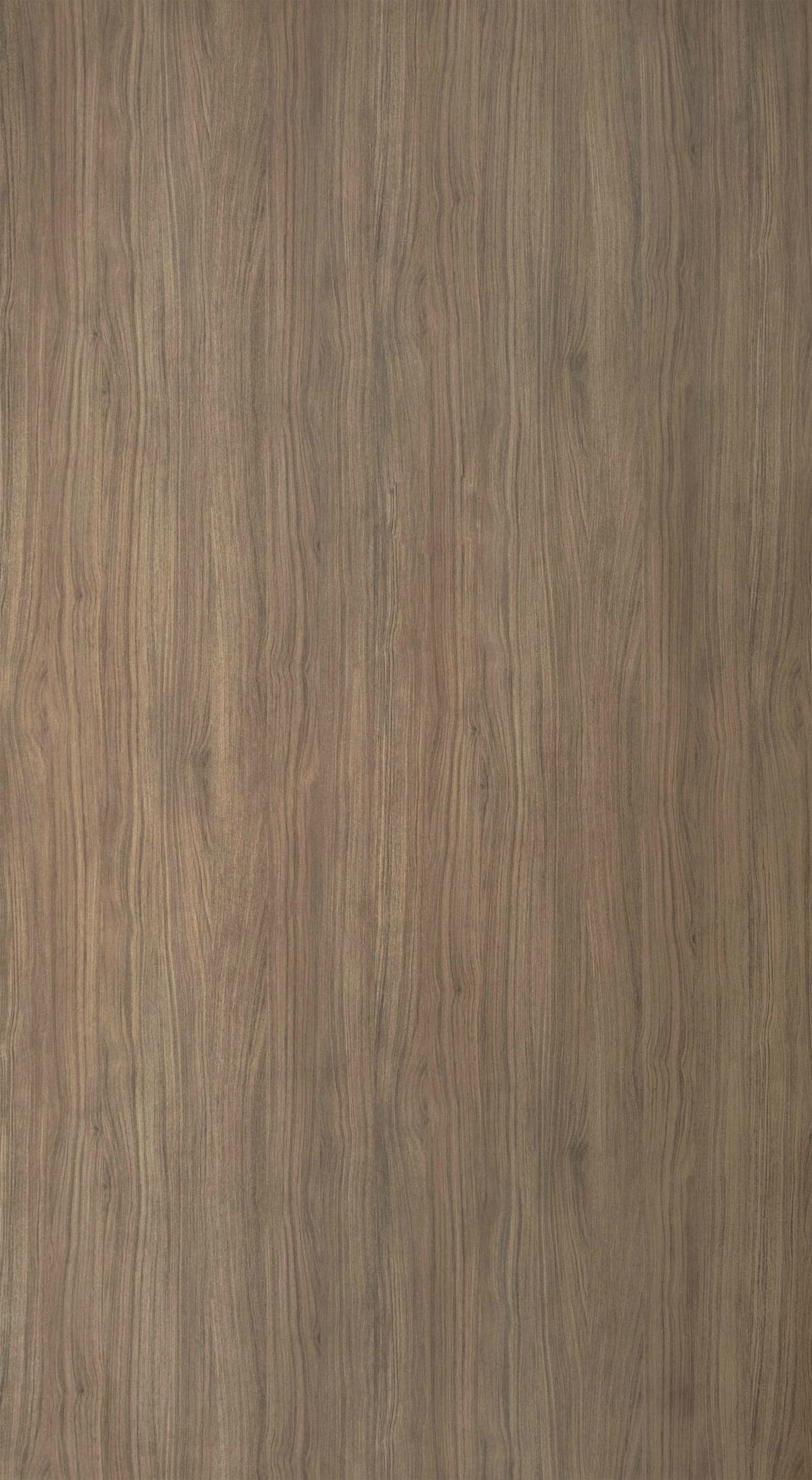 Royal Walnut