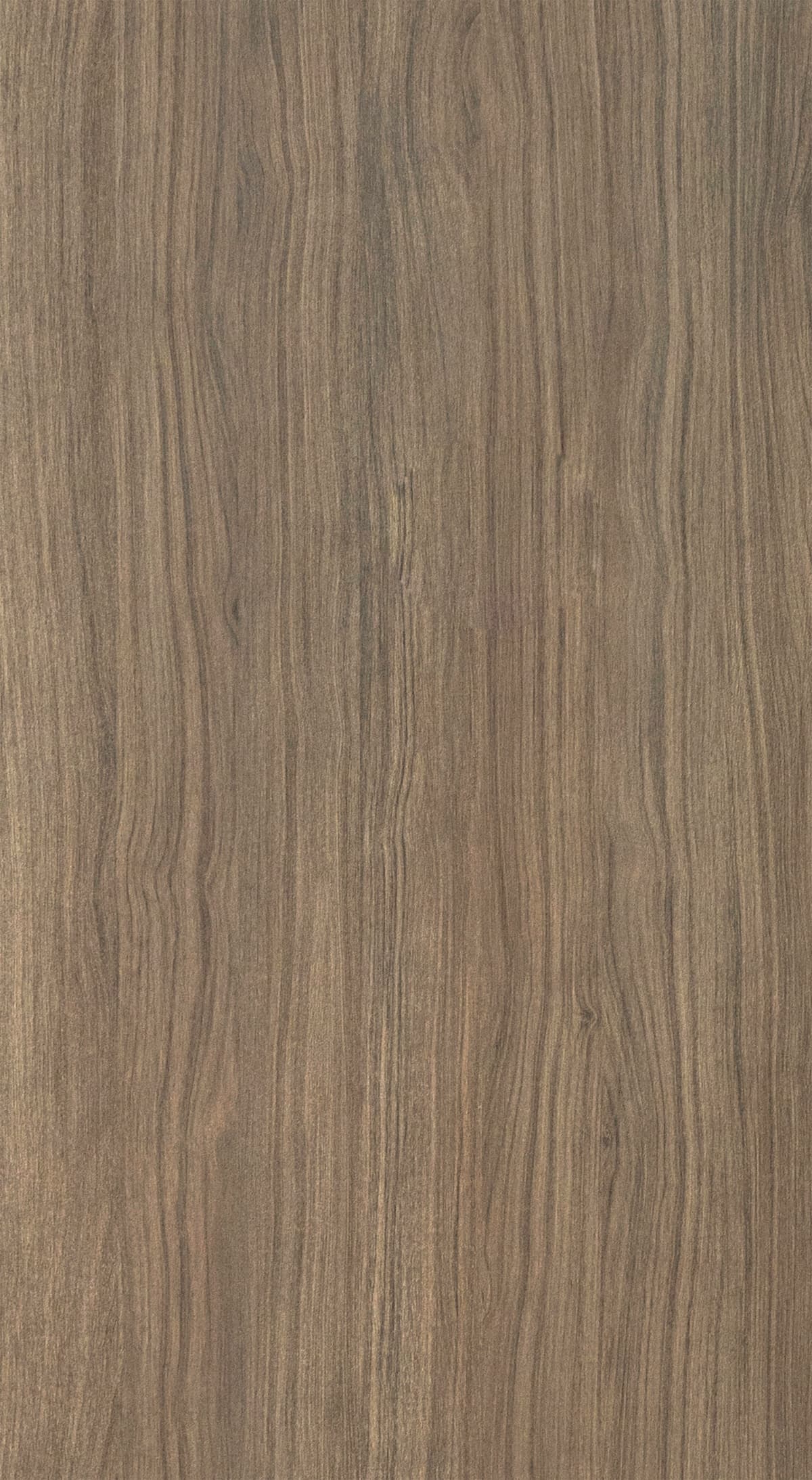 Royal Walnut