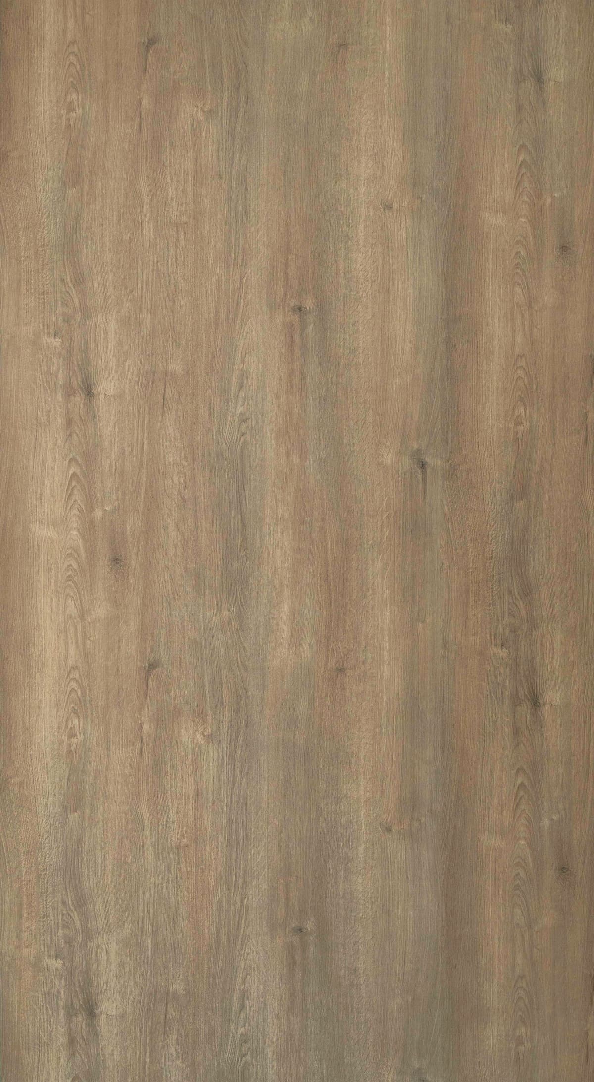 Subtle Oak