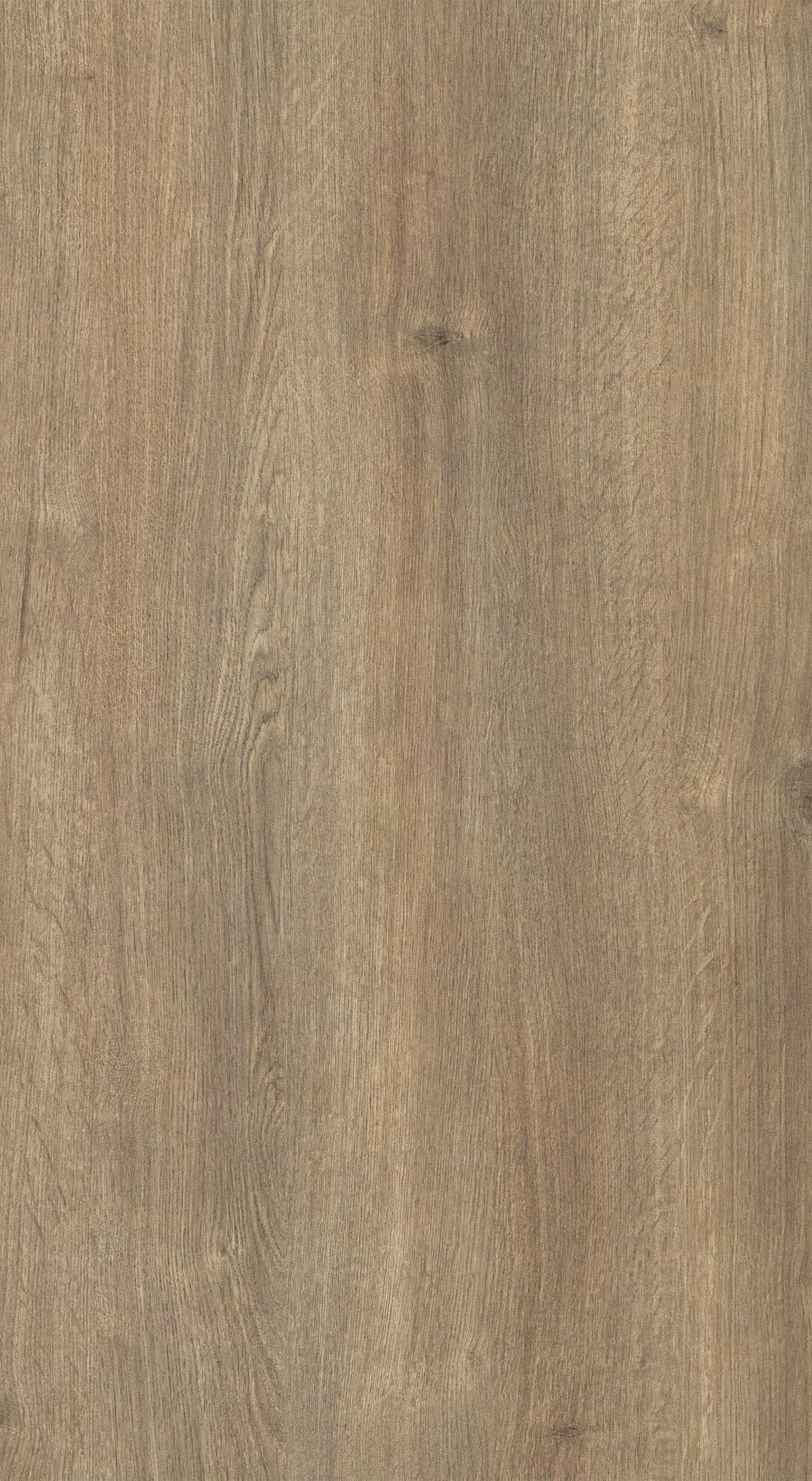 Subtle Oak