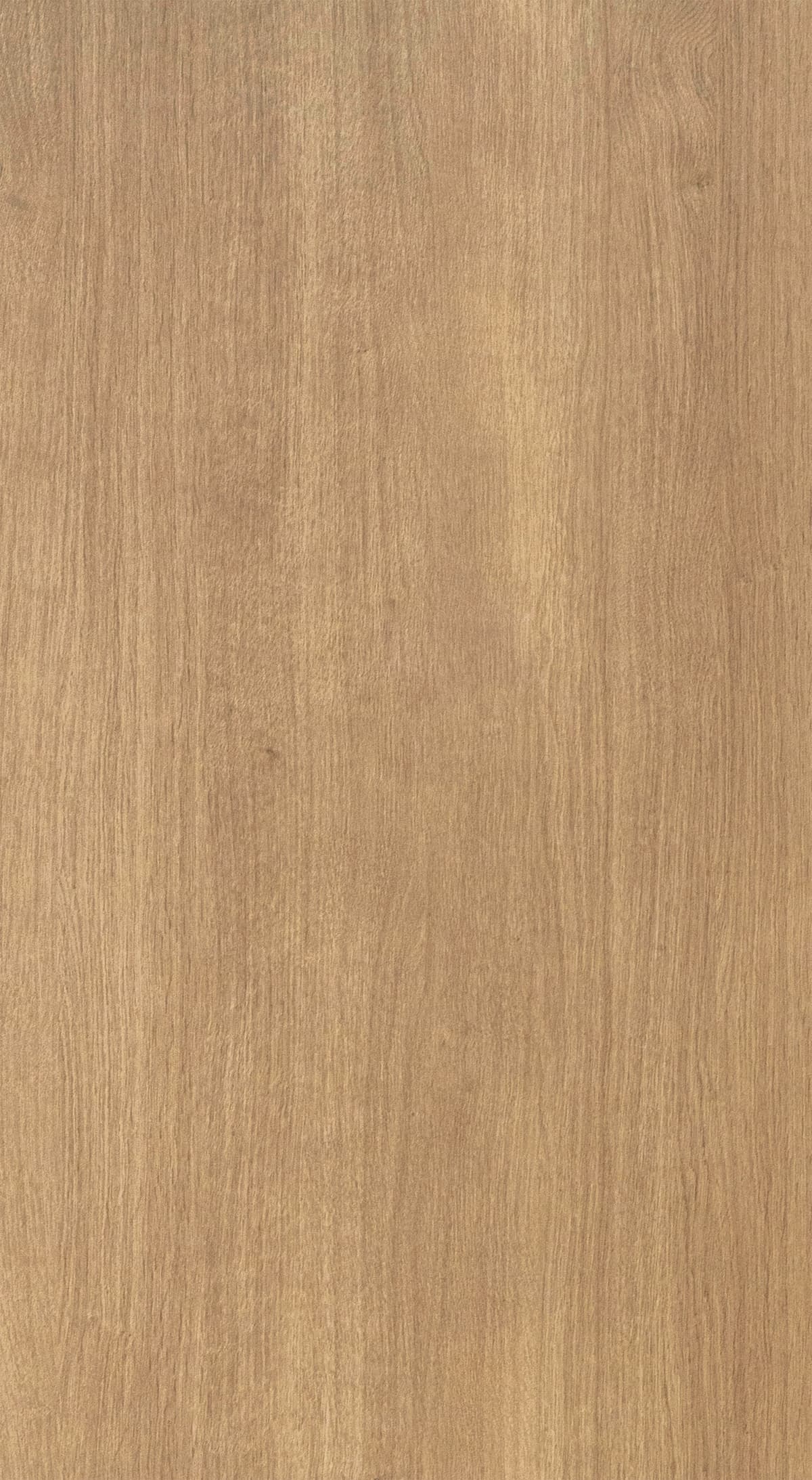 Cinnamon Oak