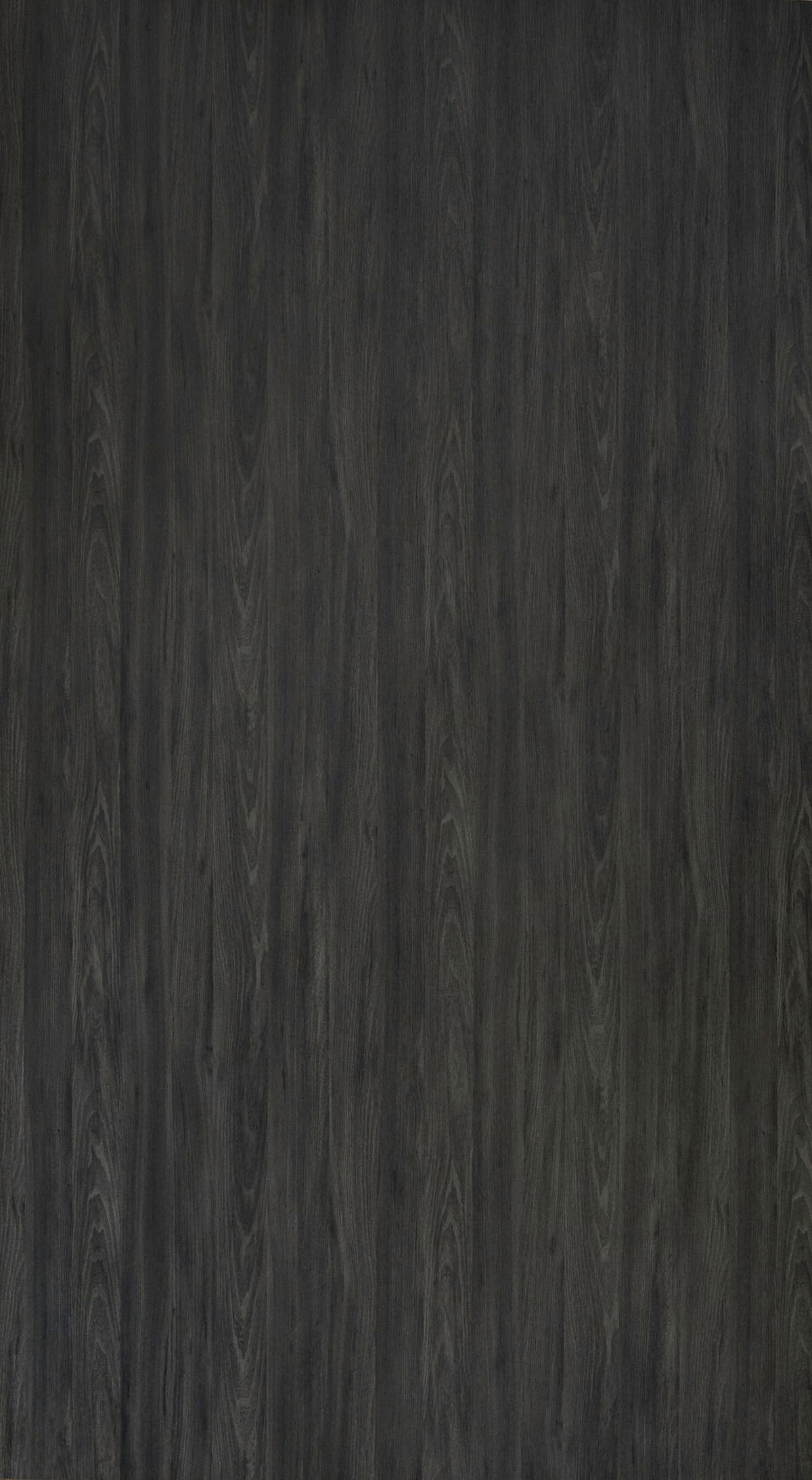 Noir Elm